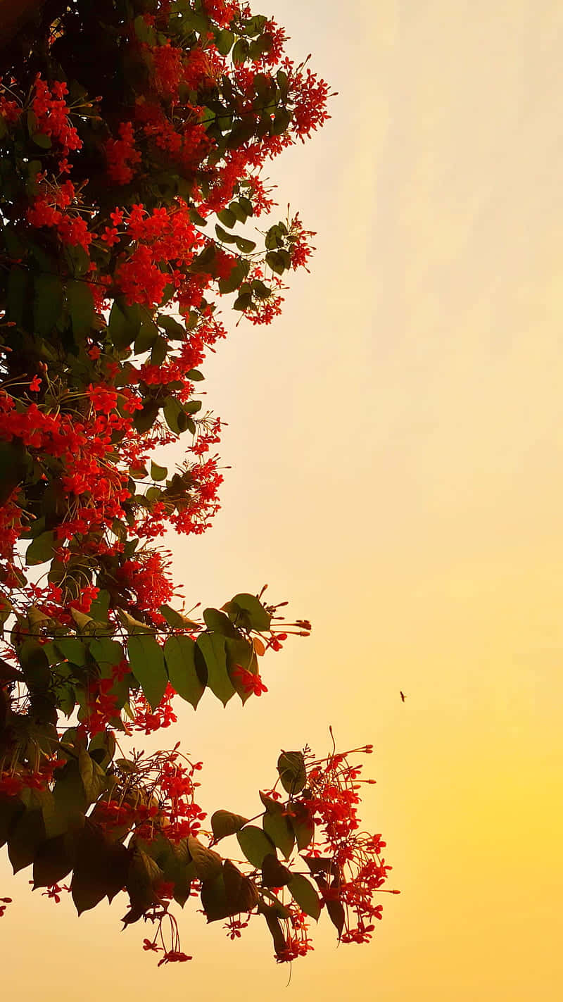 紅色開花樹枝在金色日落天空中形成剪影，有鳥飛翔