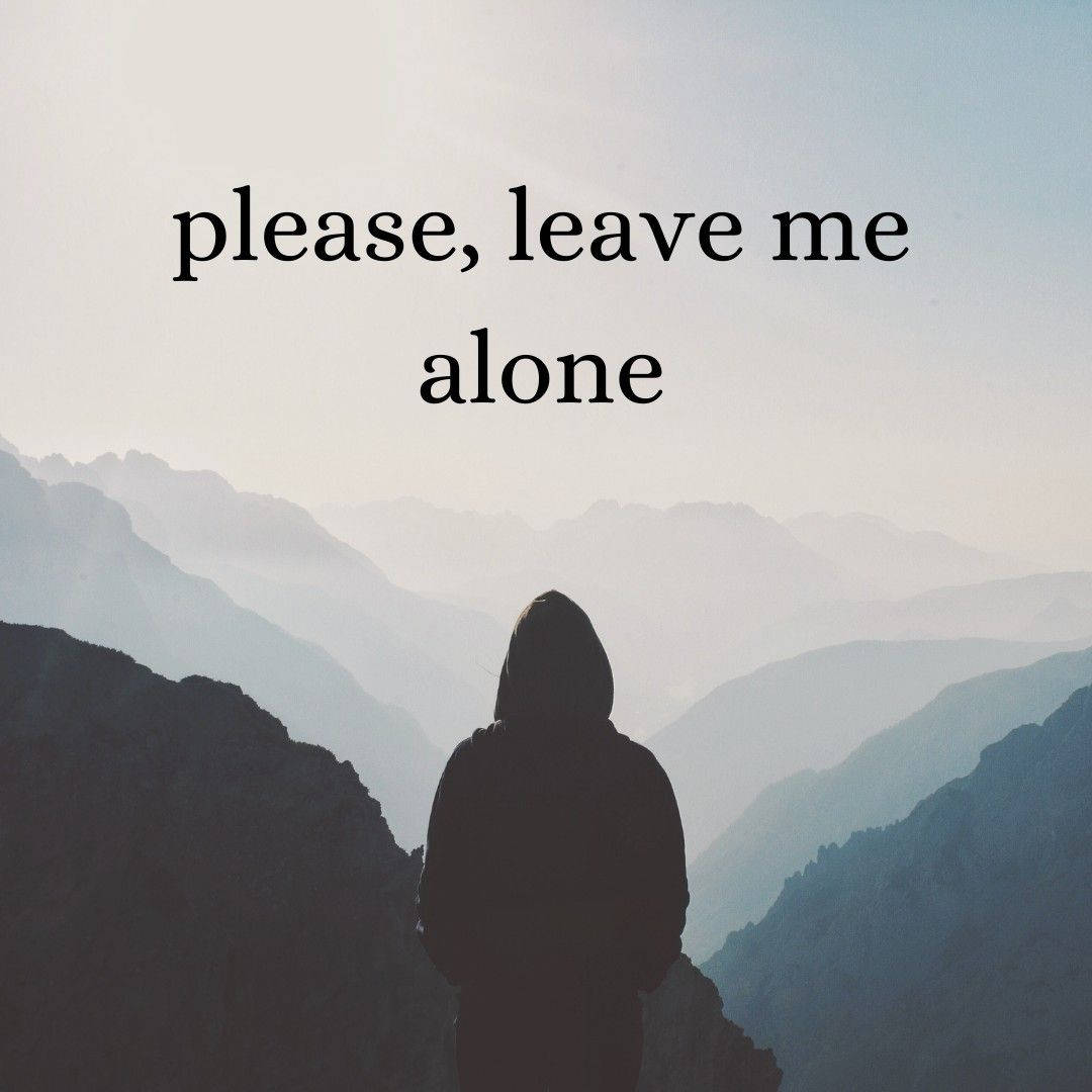 戴帽人物的剪影站在山脊上，有霧氣瀰漫的山谷和文字 please leave me alone。