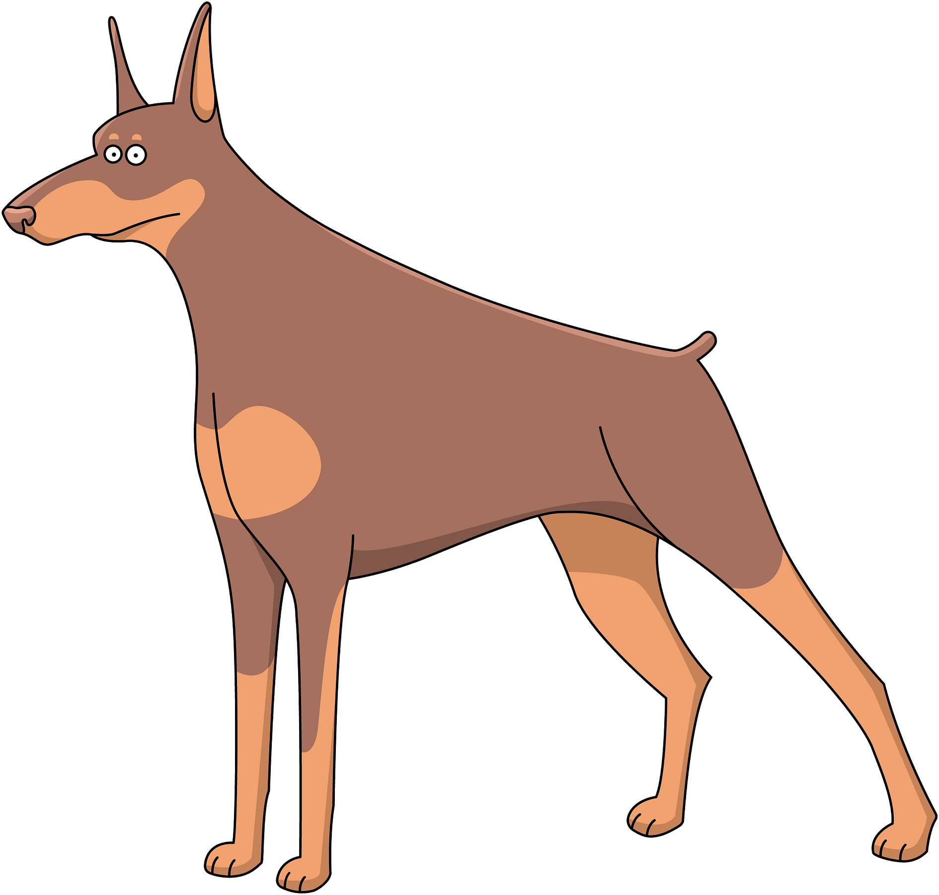 警覺杜賓犬卡通插畫 壁紙