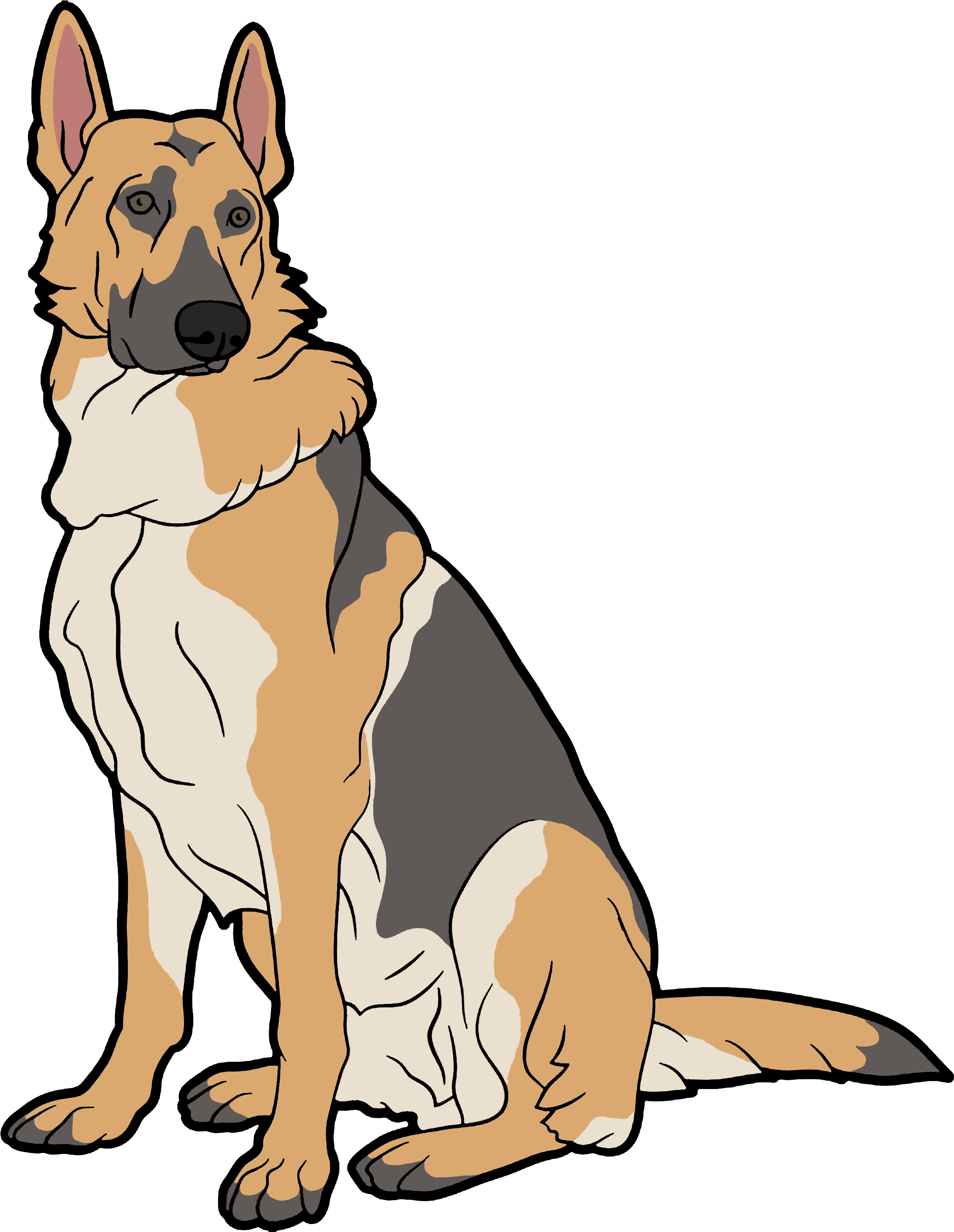 警覺的德國牧羊犬插圖 壁紙 — 一隻德國牧羊犬警覺地坐著，毛色為棕褐色、黑色和白色，背景為純黑色。