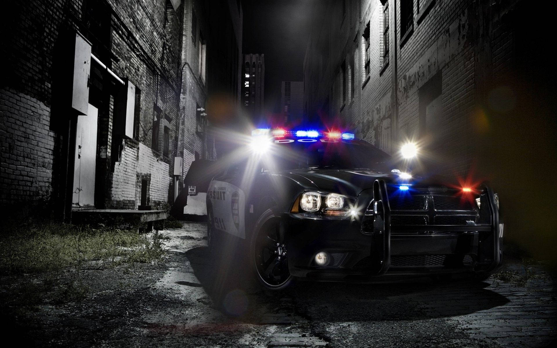 警車閃著燈停在磚樓之間的黑暗小巷中。