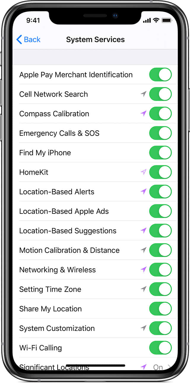 iPhone 系統服務選單，帶有各種功能的綠色切換開關。
