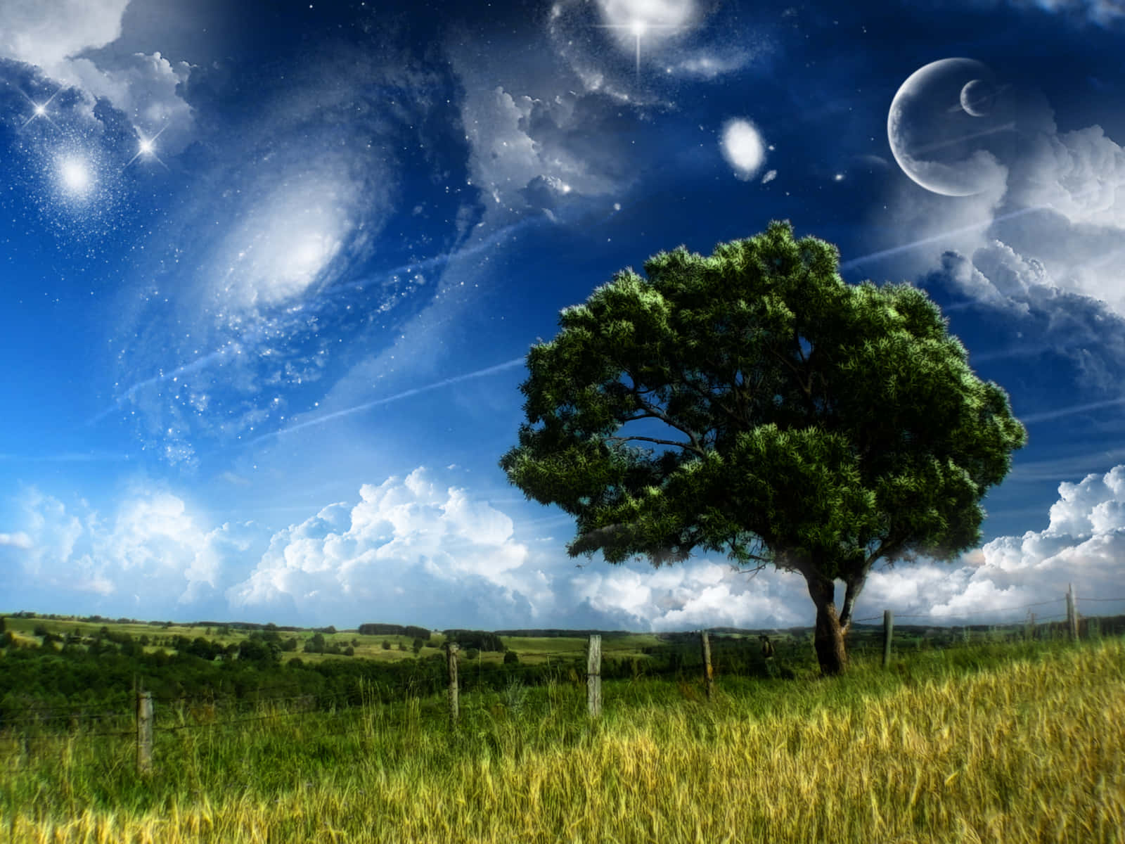 孤獨的樹在草地田野中，天空有星系和月亮。