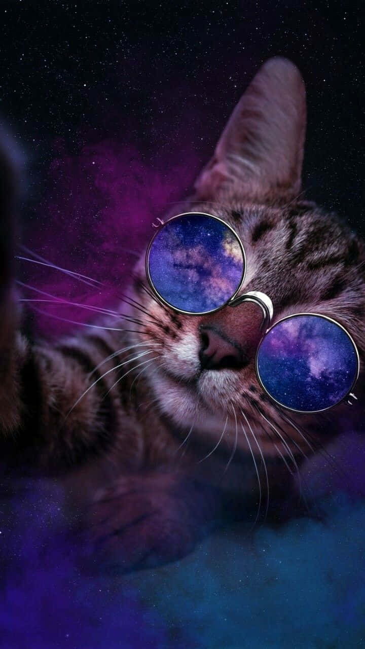 一隻貓在宇宙背景下，太陽眼鏡中反射出星系。