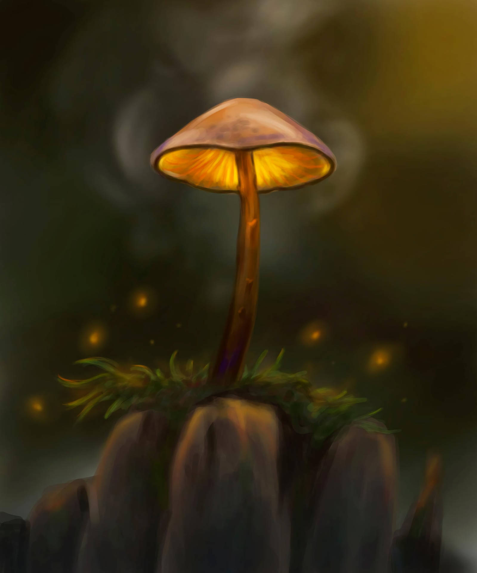 霧氣森林中長滿苔蘚的石頭上的發光蘑菇