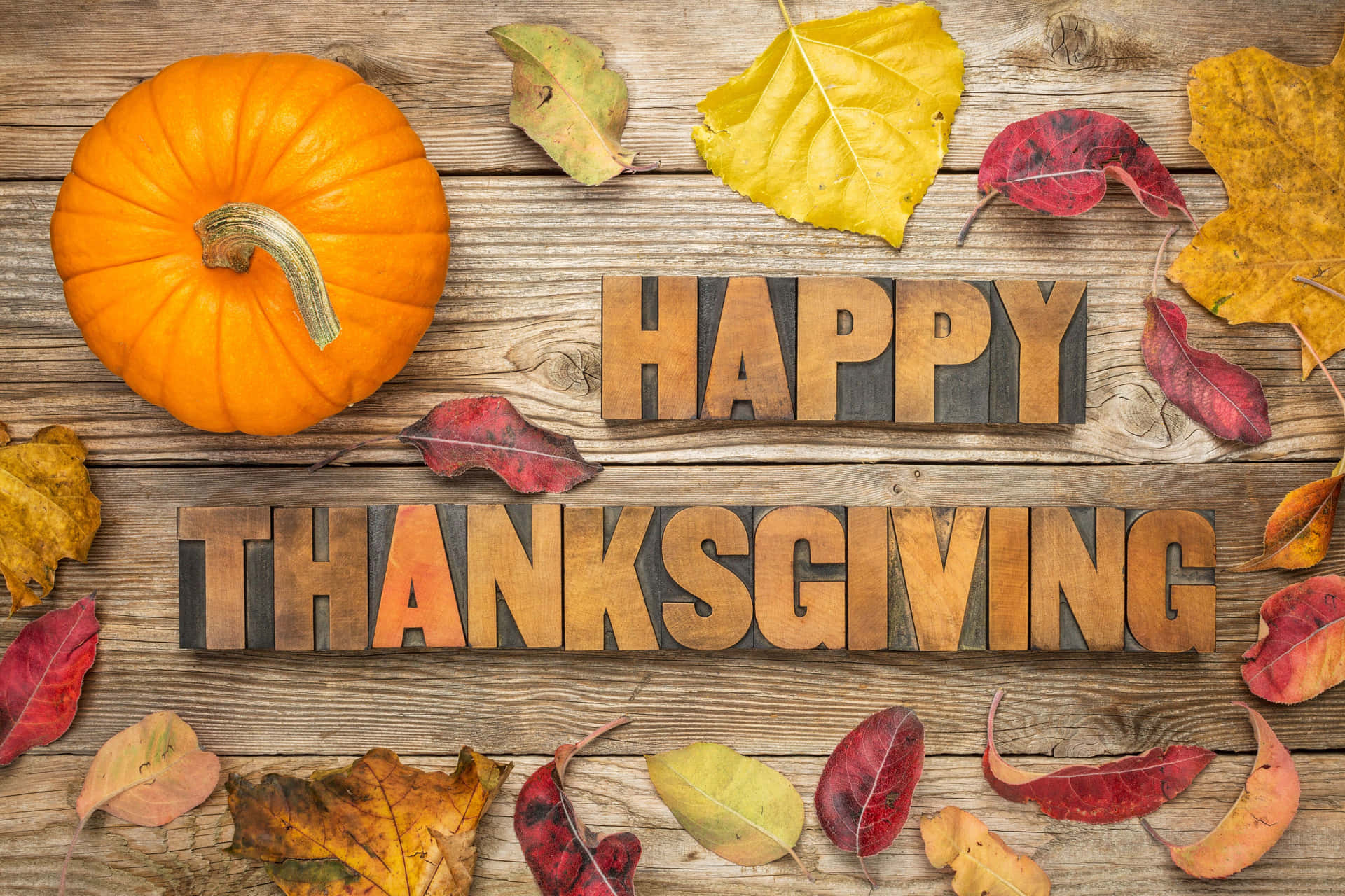 Happy Thanksgiving 文字配南瓜和秋葉的木質背景