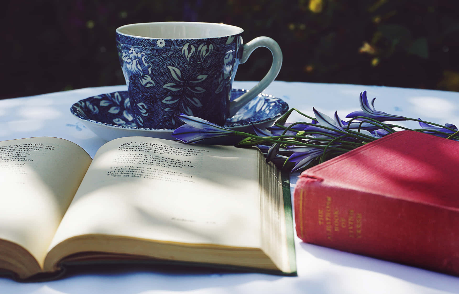 打開的書 紅色的書 藍色花卉茶杯 紫色花朵 白色桌子 戶外