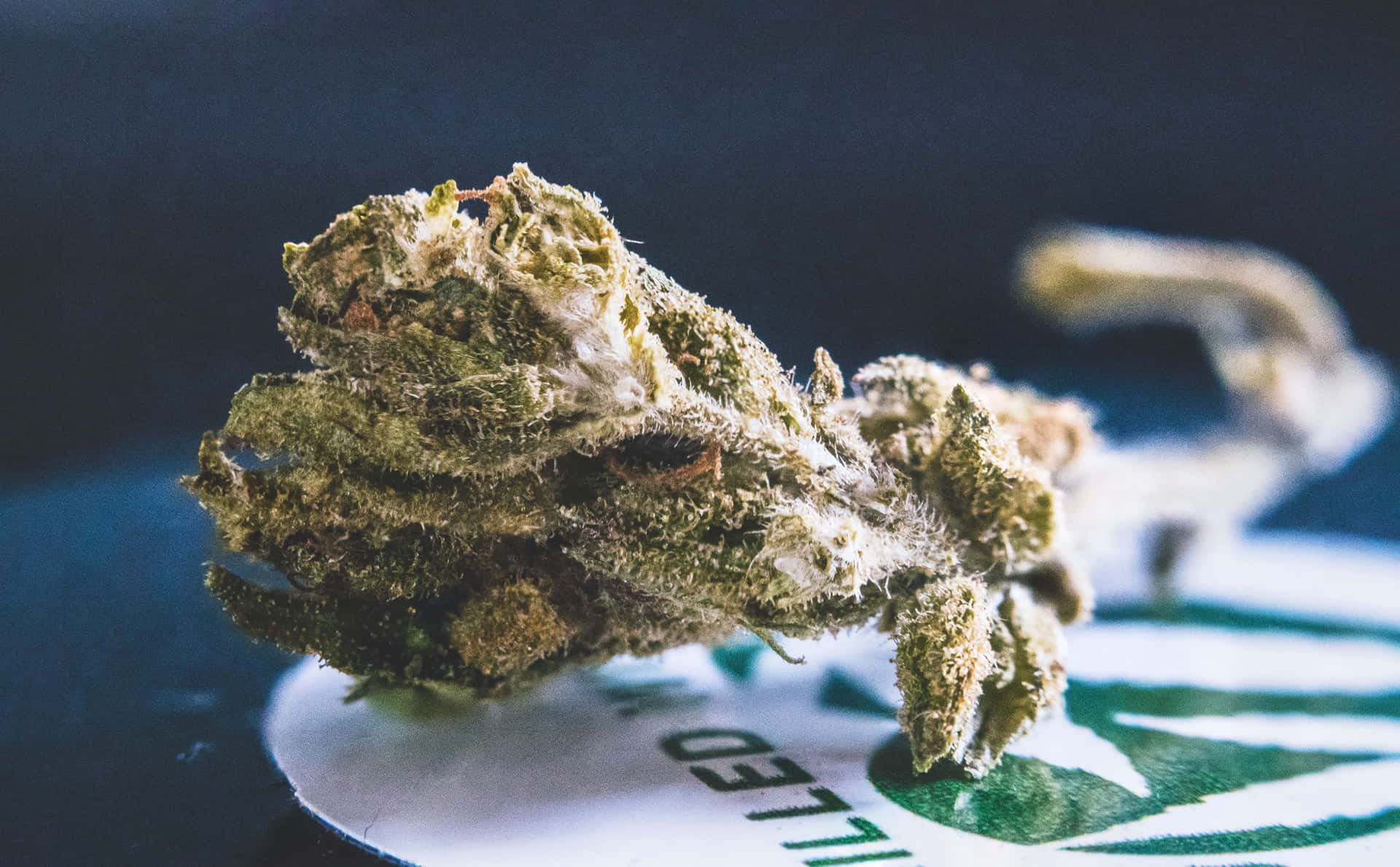 一個詳細嘅大麻花蕾，帶有霜狀毛狀體，喺有品牌嘅紙上。