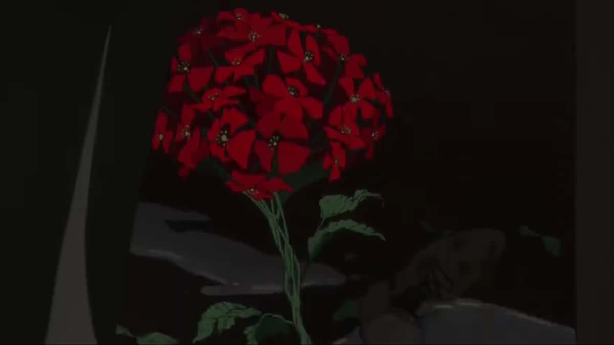 一朵在黑暗中發光的紅色聖誕紅花，配有綠葉和灰色陰影。