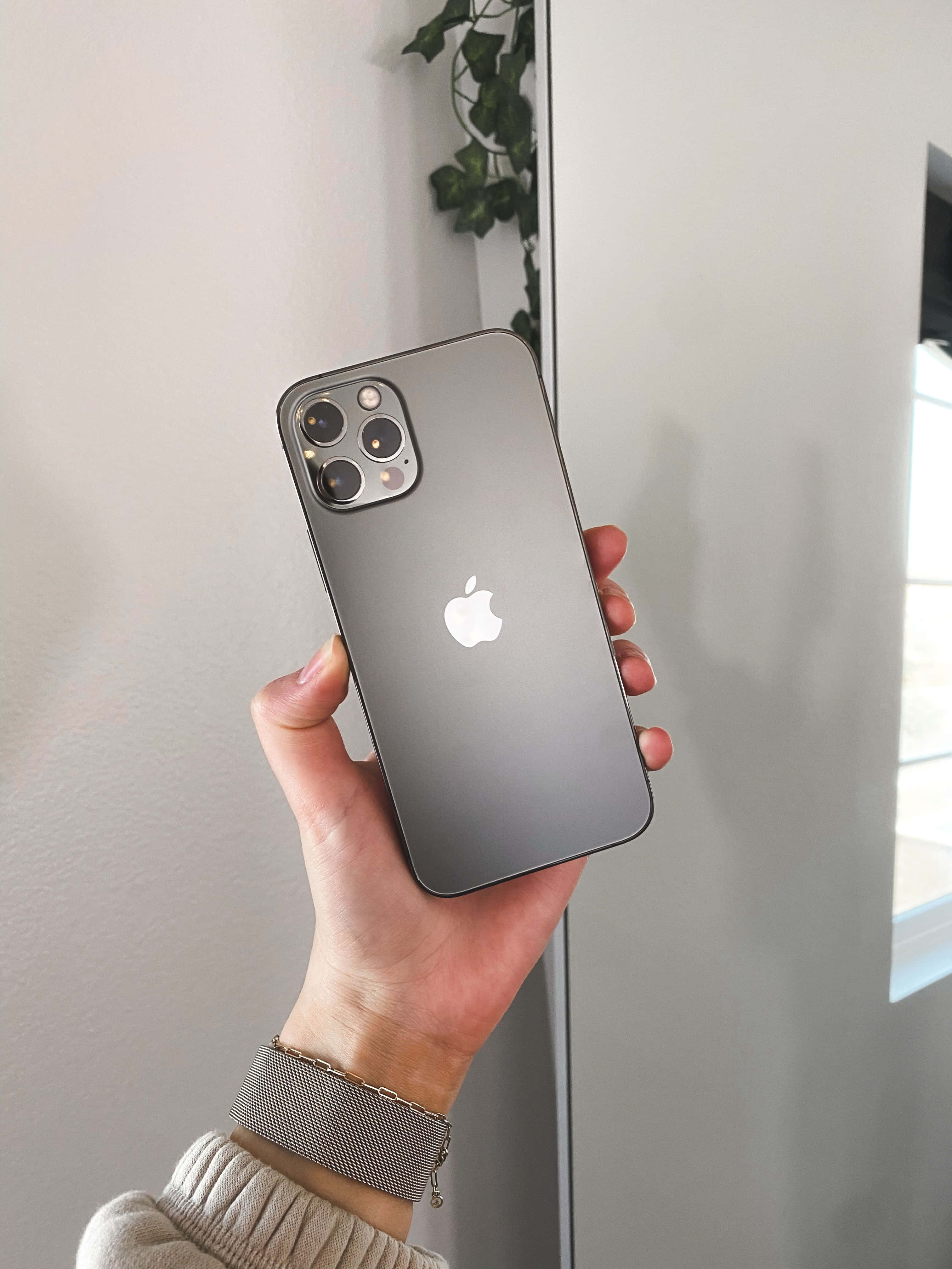 讓日常成為冒險，盡享時尚 iPhone 12 壁紙 — 一隻手拿著一部時尚的磨砂灰色iPhone，配備三鏡頭相機，背景是簡約的白色牆壁和綠色植物。