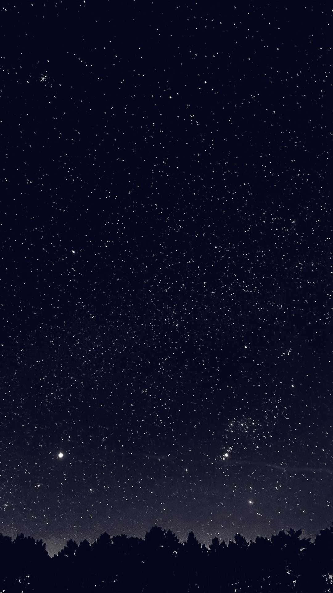 森林輪廓上方的星空
