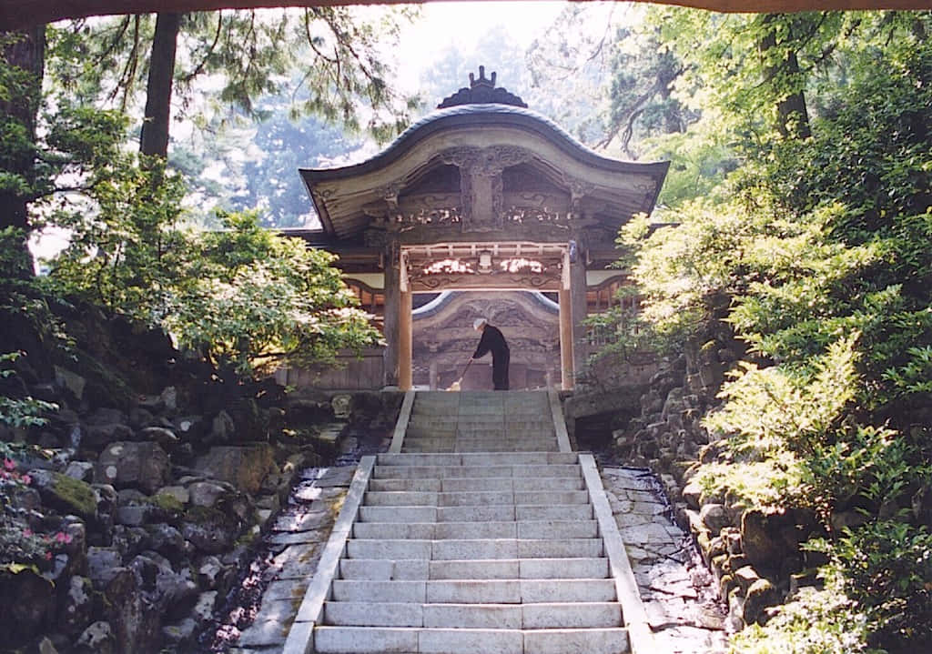 讓柔潤的灰色調填滿你的家與靈魂 壁紙 — 一座寧靜的日本神社坐落在茂密的綠色森林中，石階通往傳統的木門。