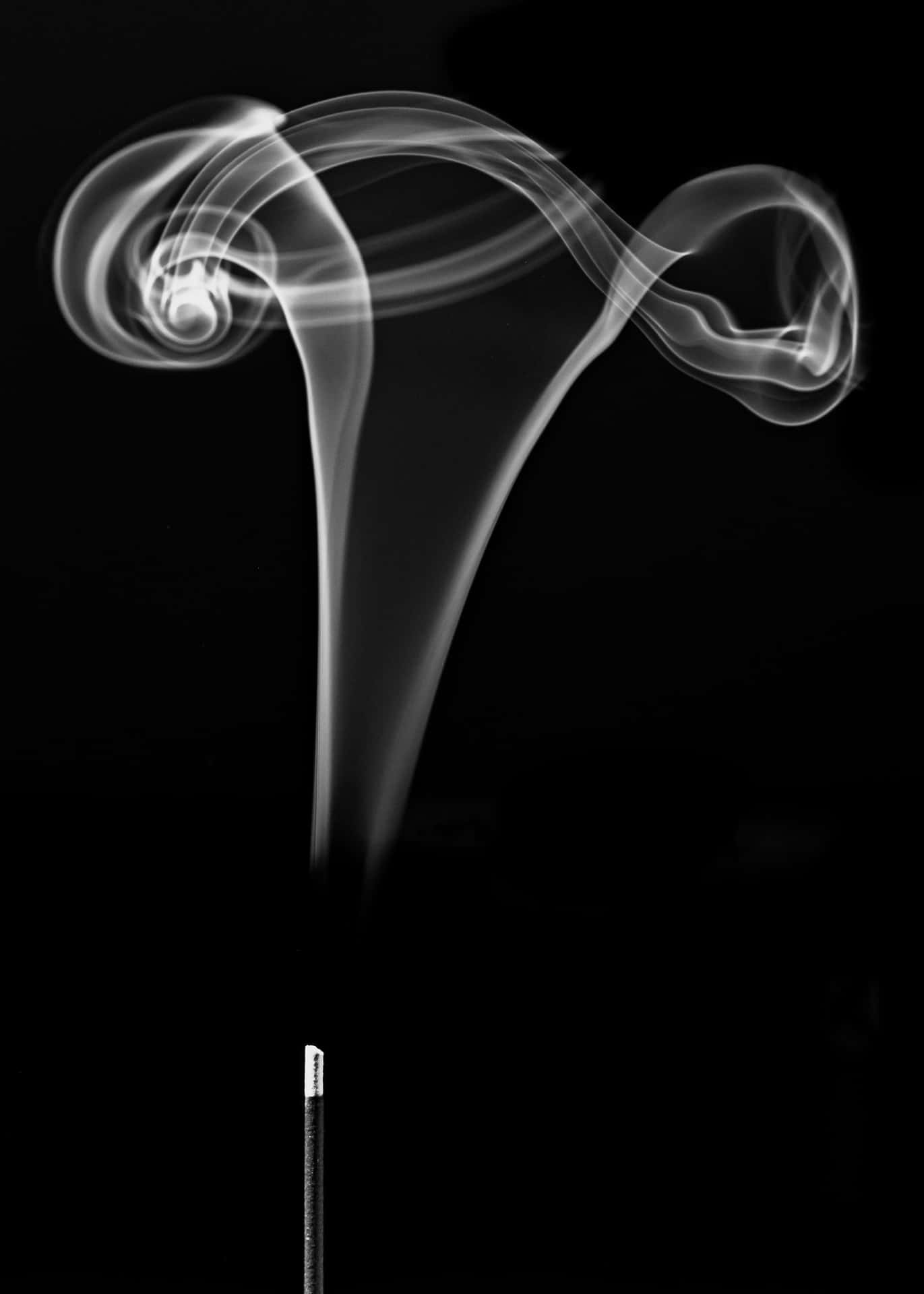 優雅的煙霧曲線從一支線香上升，襯托黑色背景。