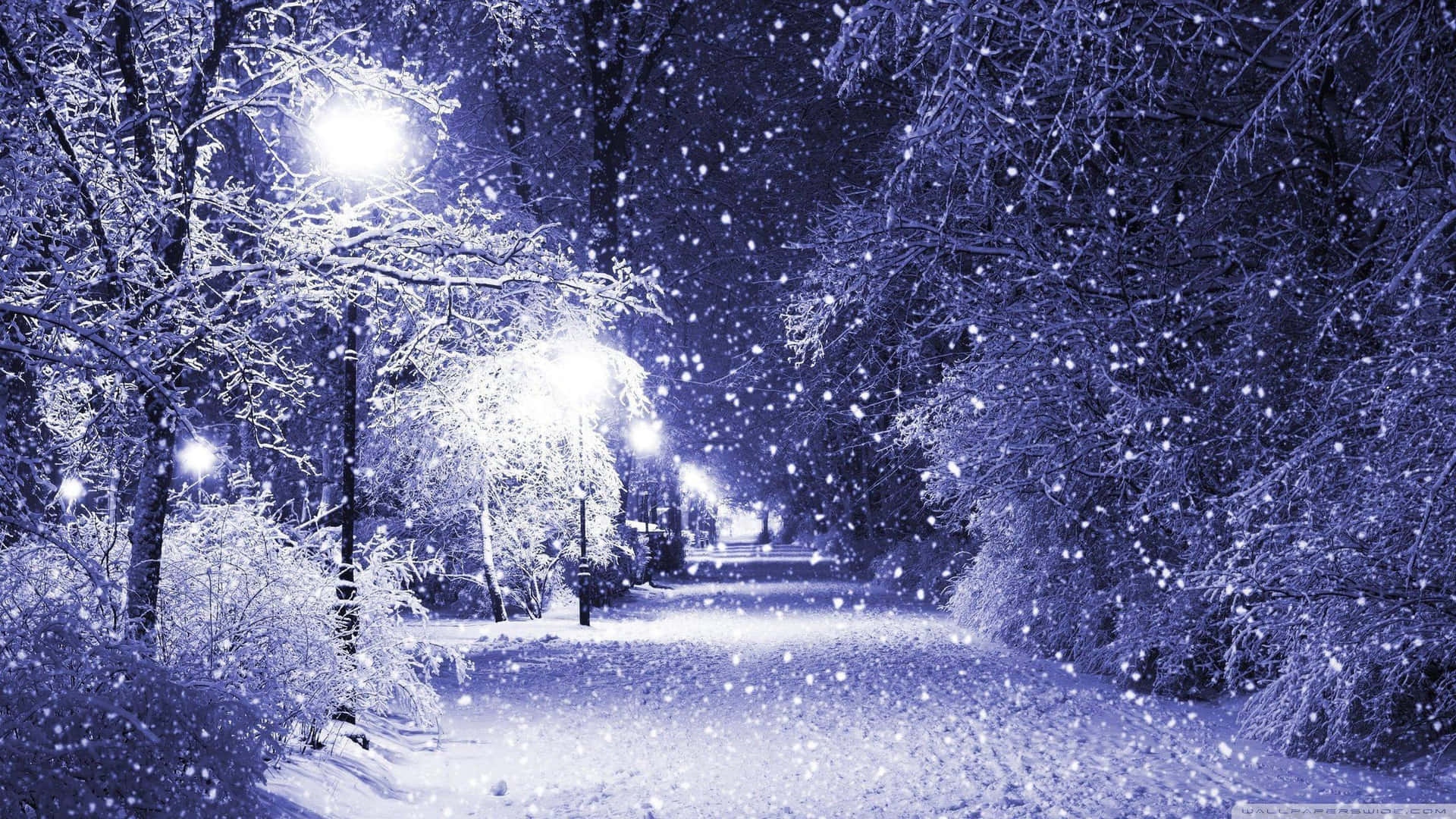 夜晚，雪落在被冰凍樹木環繞的明亮冬季小徑上。