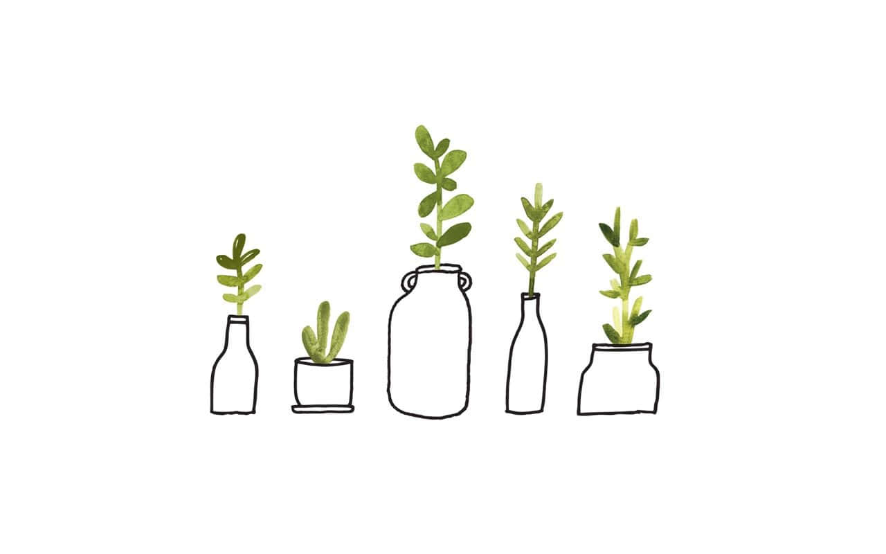 讓自然生長 壁紙 — 五個極簡線條繪製的植物，放在各種罐子和瓶子中，帶有綠色葉子，背景為純白色。