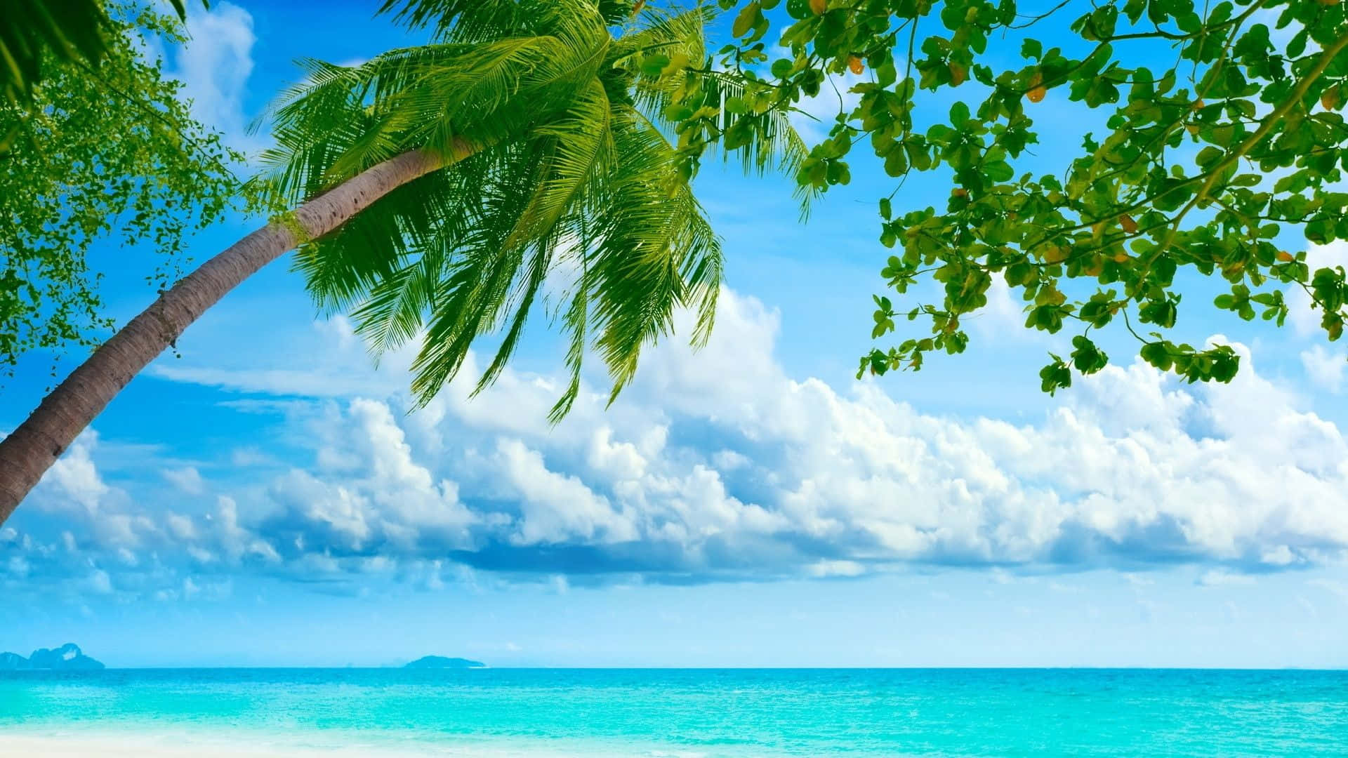 讓這個夏天成為你最棒的夏天 壁紙 — 充滿活力的熱帶海灘場景，傾斜的棕櫚樹框住碧綠的海水，上方是明亮的藍天和蓬鬆的白雲。