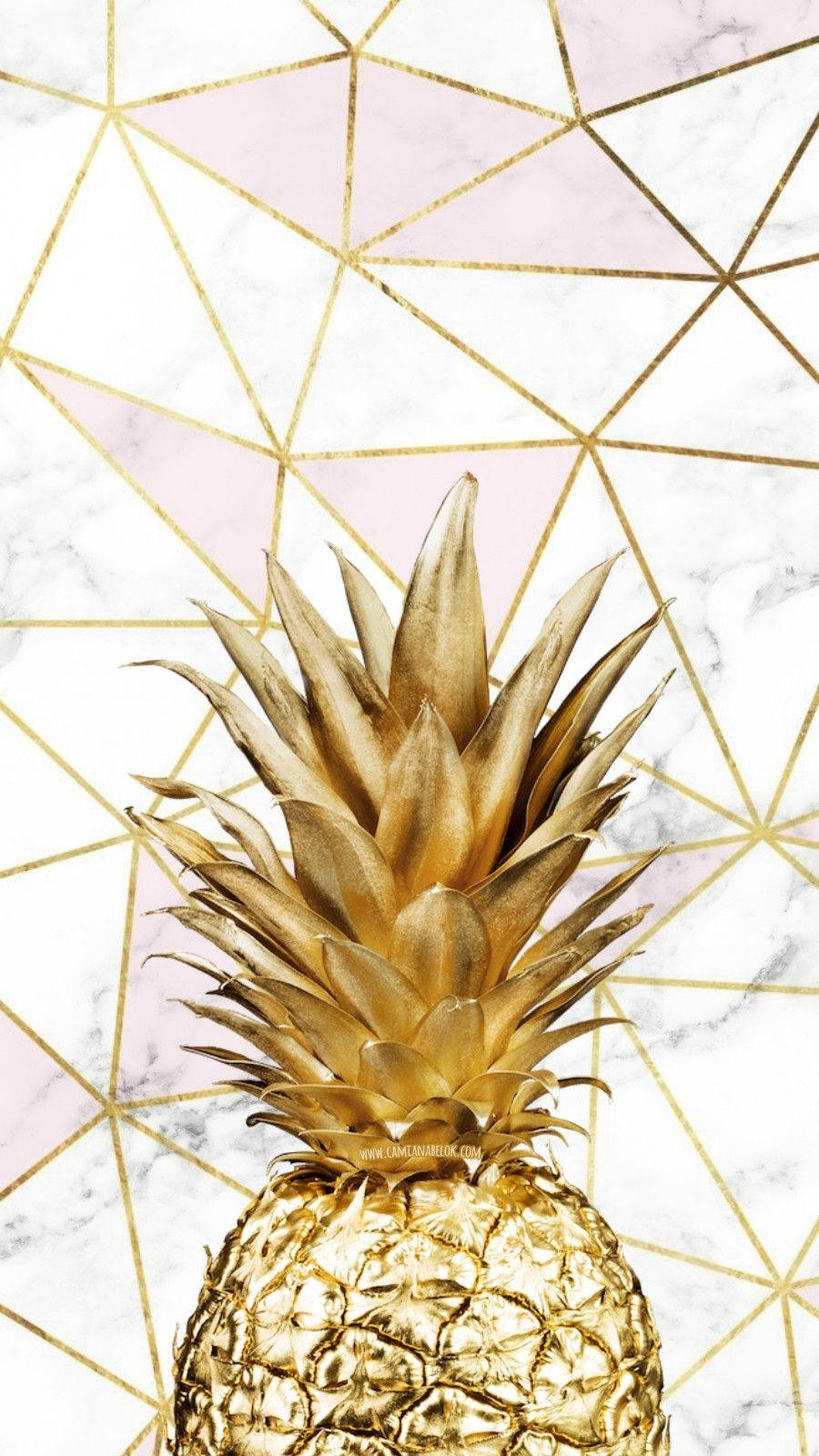 大理石上的金色菠蘿，帶有金色幾何圖案背景。
