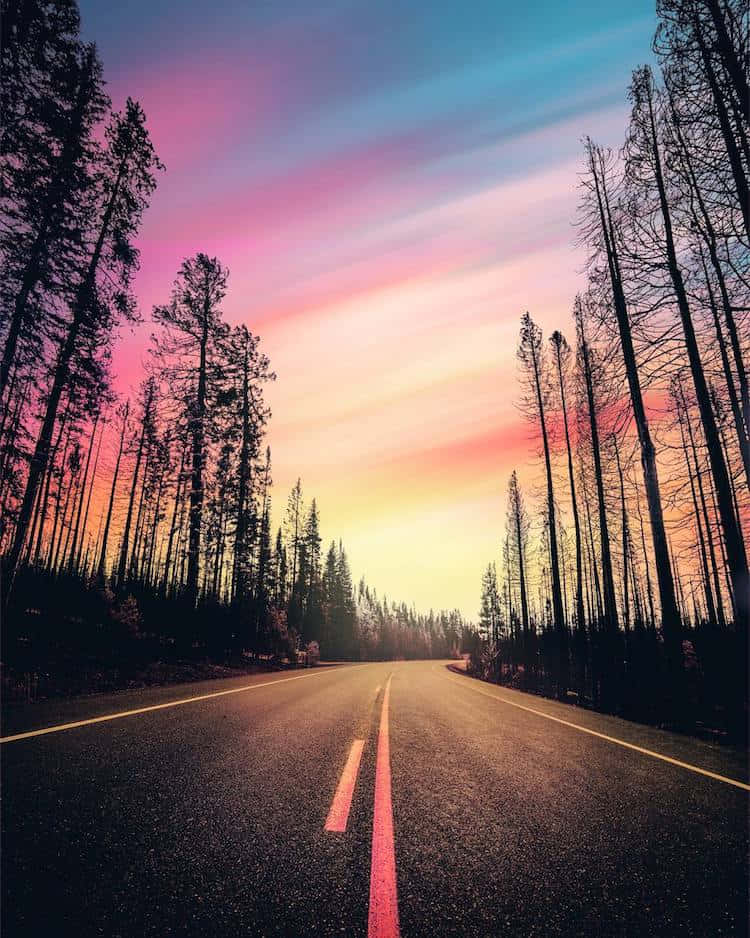 日落時分穿過森林的道路，天空色彩繽紛