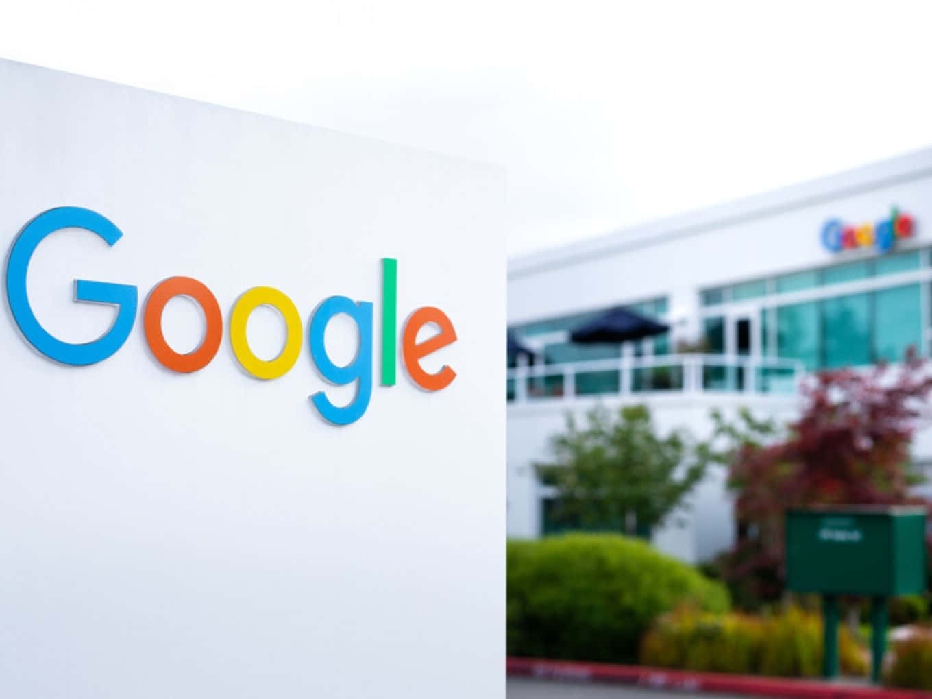 Google標誌牌在企業辦公大樓前，有綠色植物。