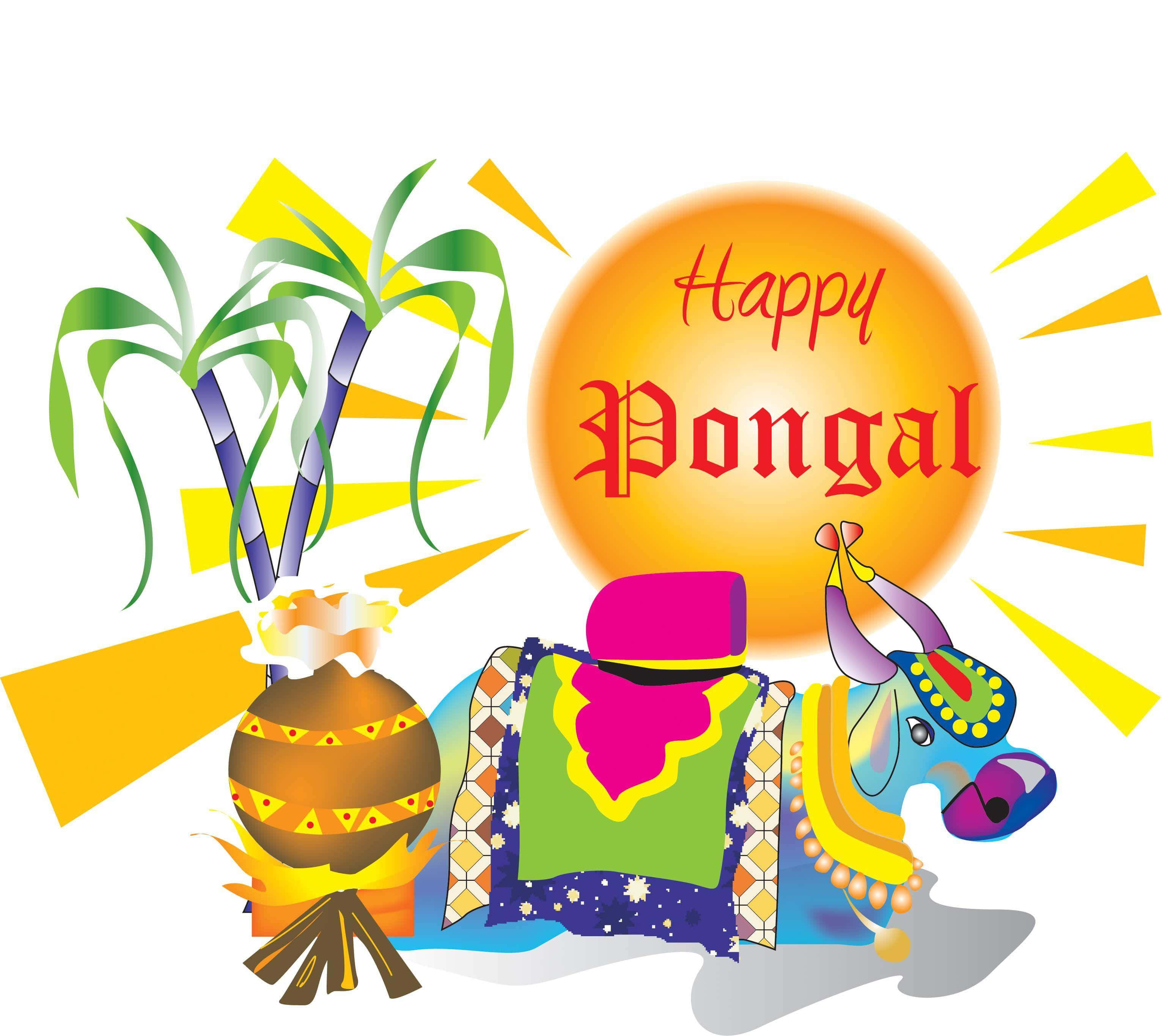 豐收的慶祝：龐加爾節 壁紙 — 一幅充滿活力的插圖慶祝Happy Pongal，裝飾的公牛、甘蔗和火上的鍋在燦爛的陽光下。