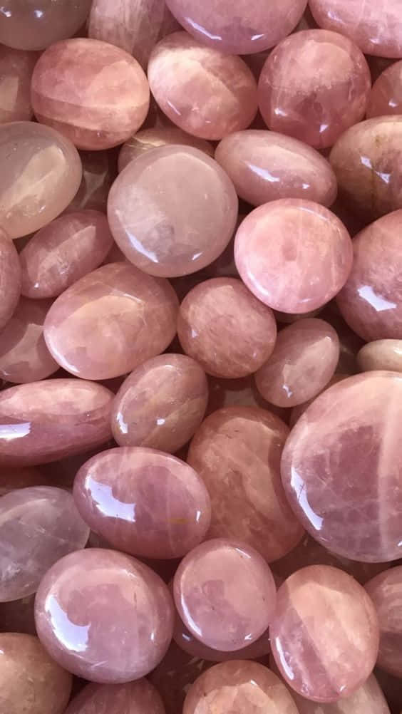 拋光玫瑰石英石系列，呈現柔和粉紅色調和天然圖案。