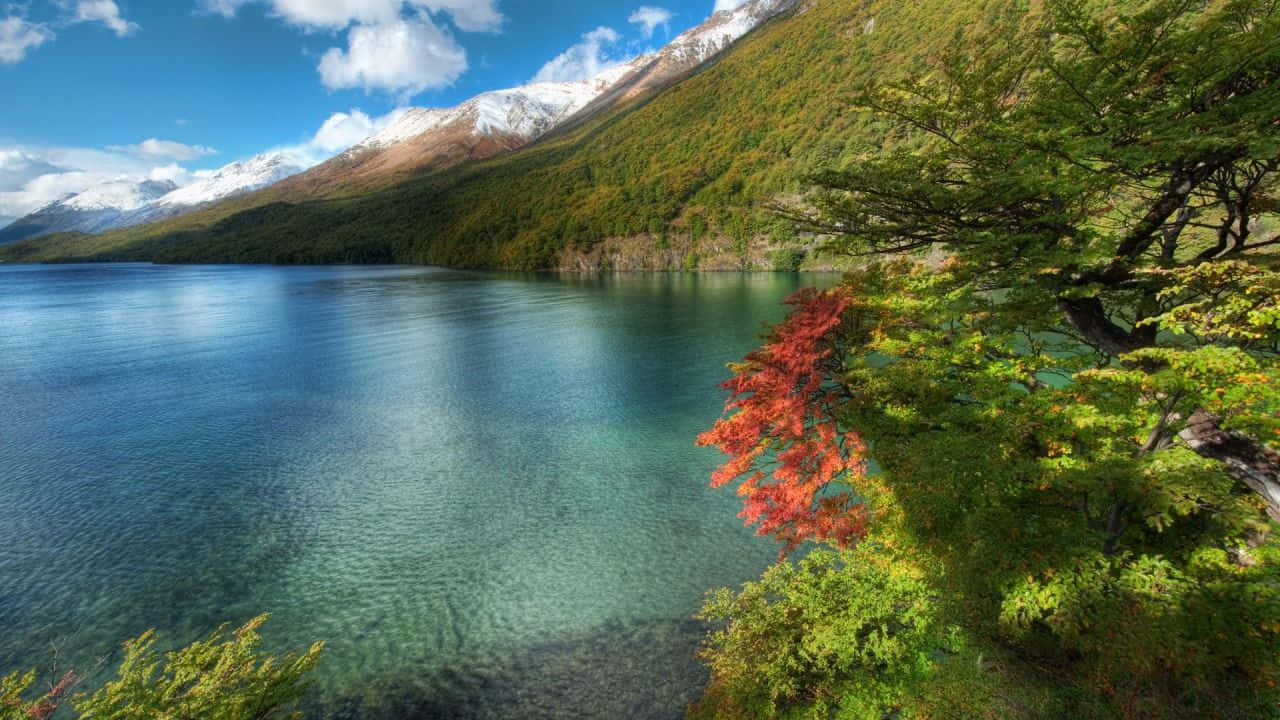 豐盛的秋季自然風景 壁紙 — 寧靜的湖面映照著白雪覆蓋的山峰和秋日樹木，在明亮的藍天下呈現出鮮紅的樹葉。