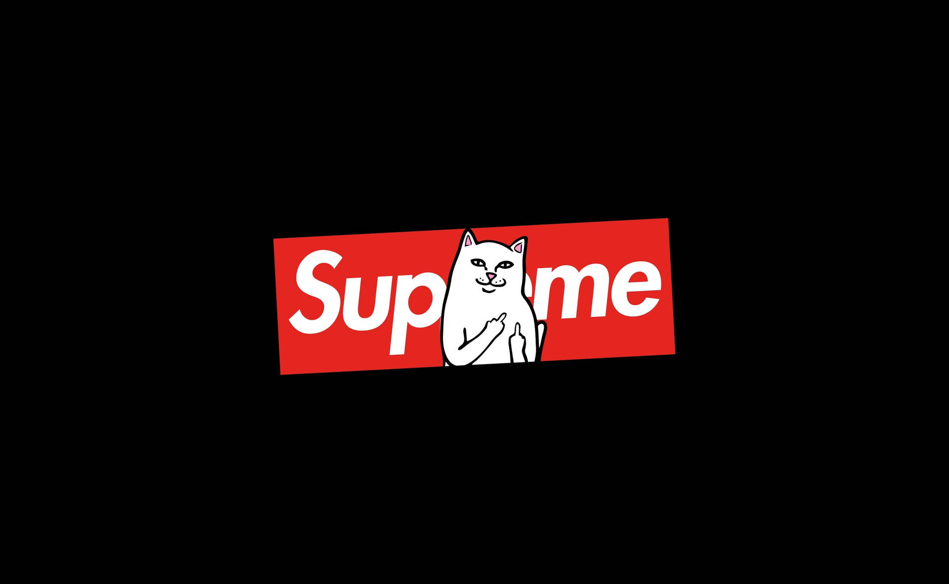白色卡通貓咪在黑色背景上的紅色Supreme標誌內豎中指
