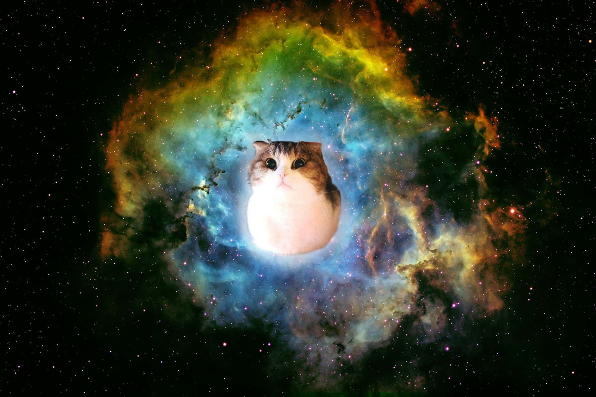 一隻毛茸茸的貓咪漂浮在色彩繽紛的宇宙星雲中，周圍環繞著星星。