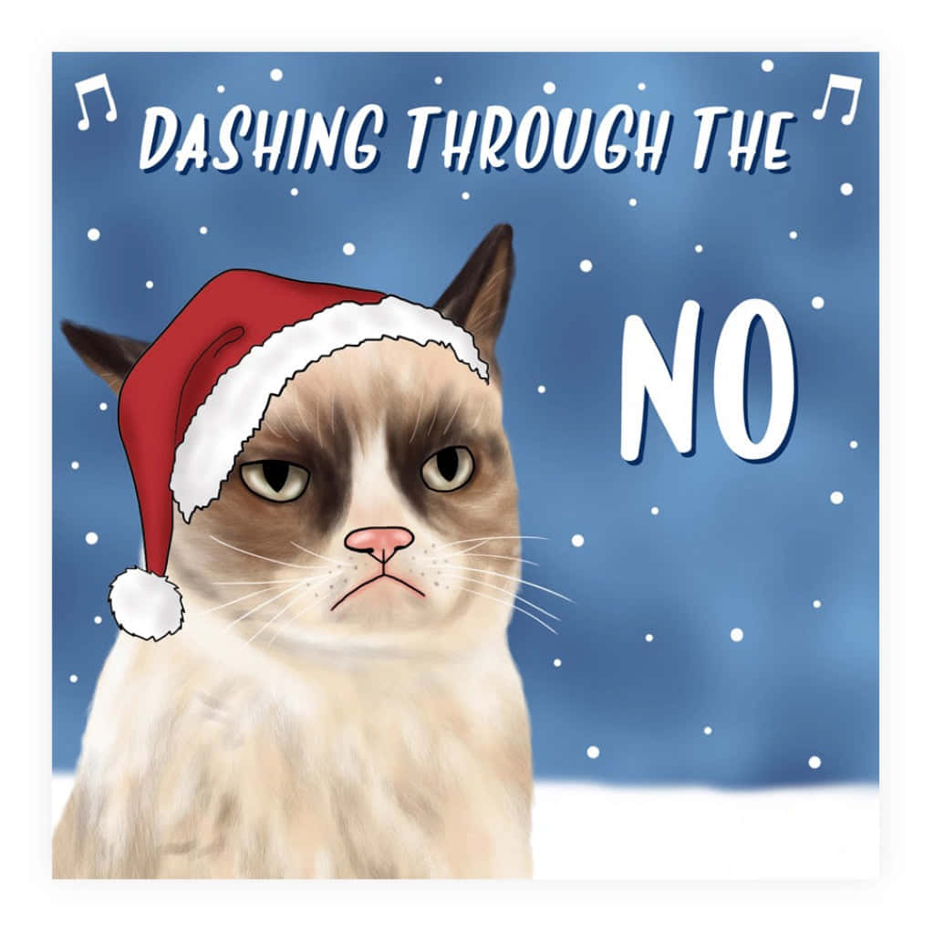 戴聖誕帽的暴躁貓咪，雪背景上寫著「Dashing Through The NO」。