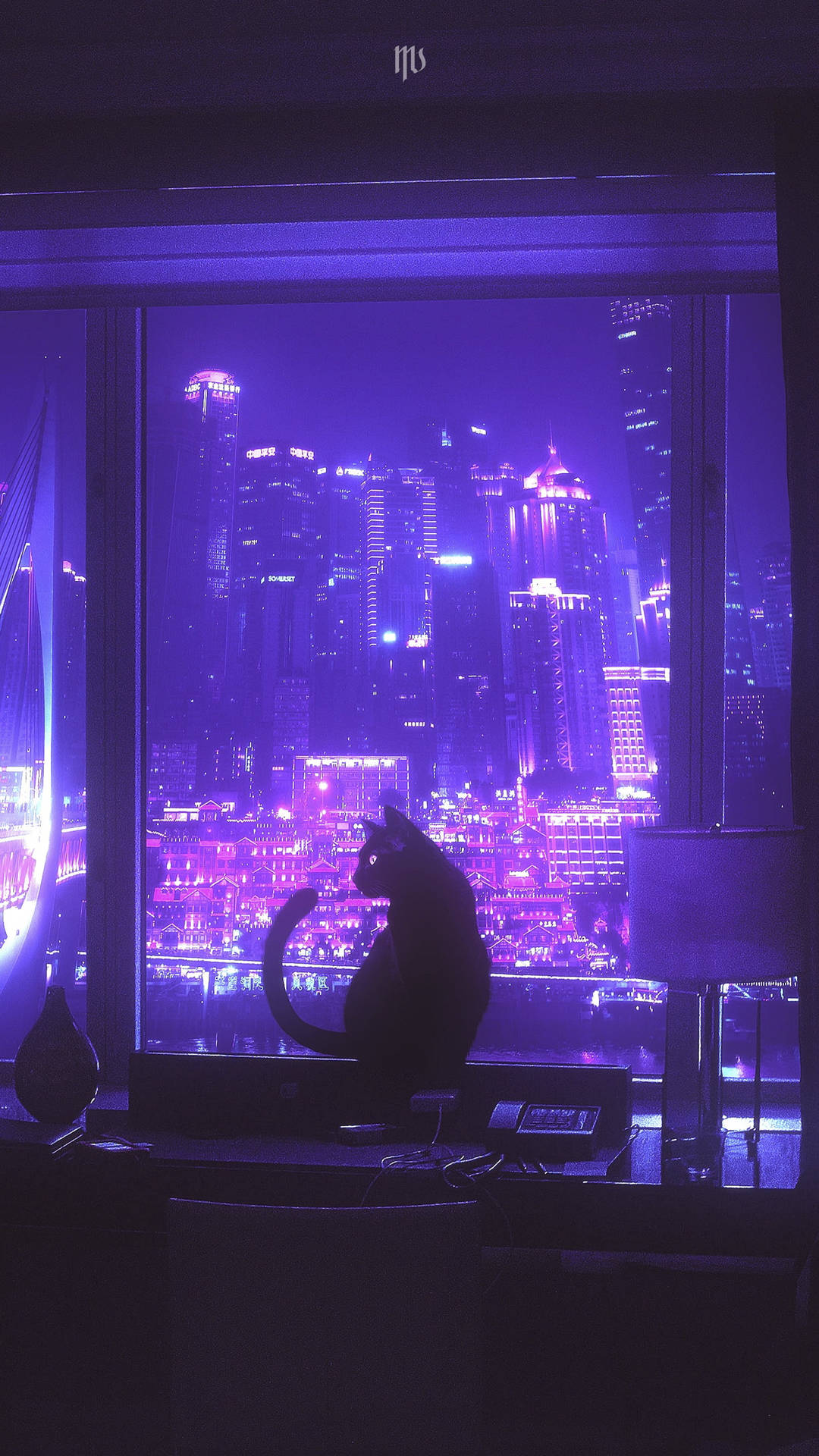 黑貓在夜晚從窗戶觀看發光的城市燈光。