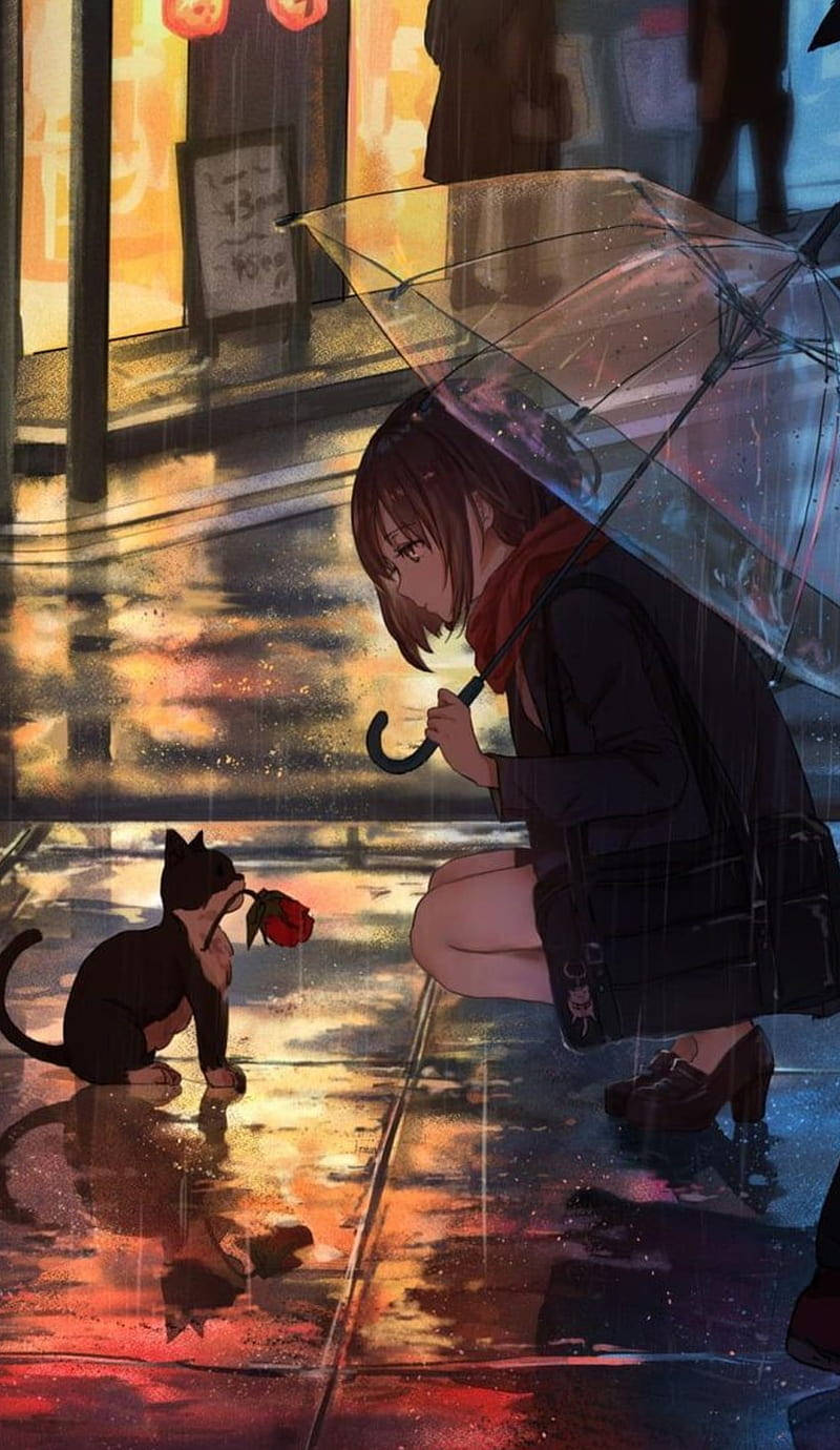撐傘的女孩跪著從黑貓手中接過玫瑰，在雨夜的城市街道上。