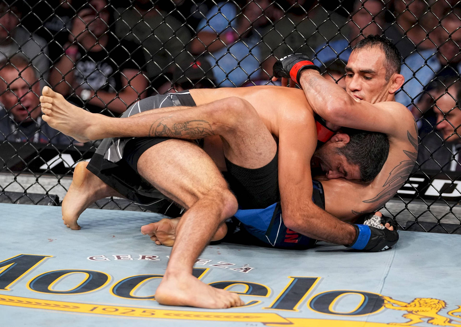 兩名MMA拳手在八角籠內進行摔跤纏鬥。