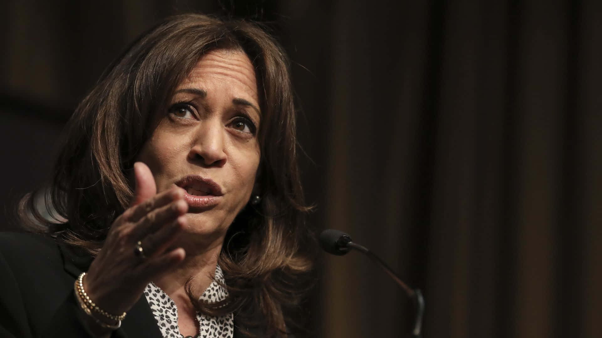 Kamala Harris 桌布 壁紙 — 賀錦麗在記者會上以專注的表情和手勢熱情地發言。