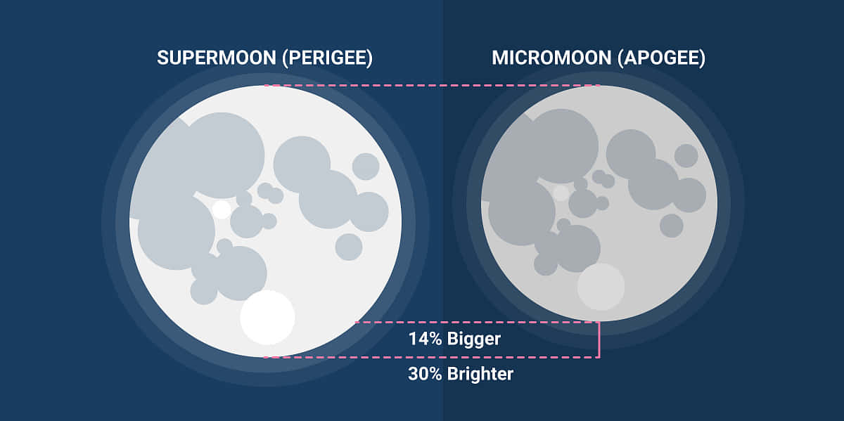 Perigee 桌布 壁紙 — 資訊圖表比較超級月亮和微型月亮的大小和亮度，並標示百分比。