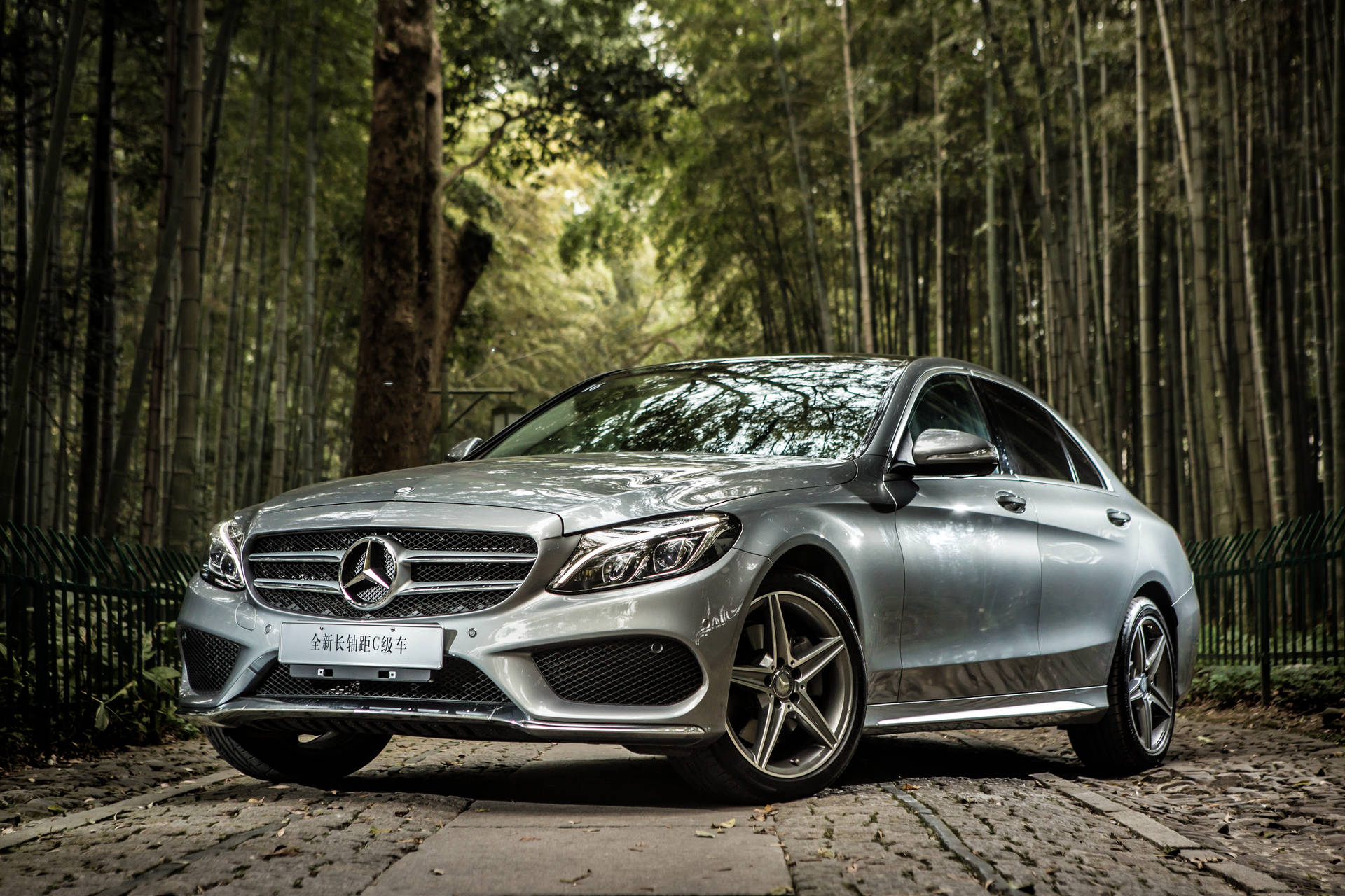 銀色 Mercedes-Benz 房車停在竹林中的石徑上。