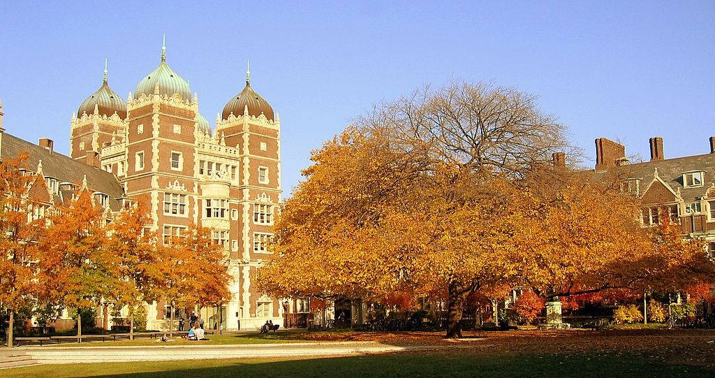 大學校園，擁有歷史建築和金色秋樹，藍天白雲