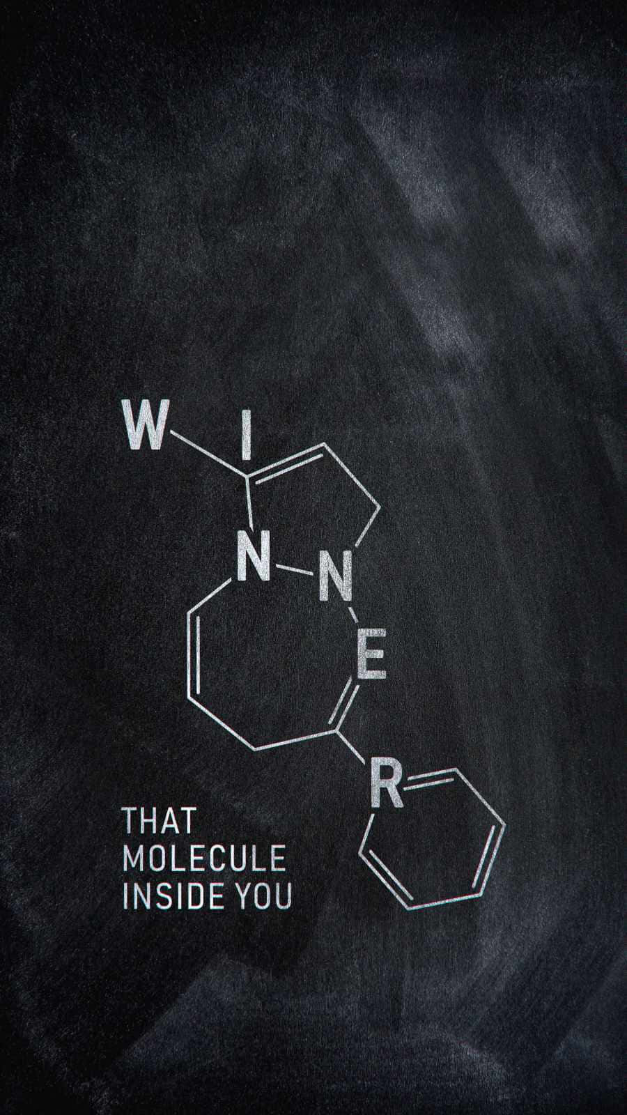 贏家背景 壁紙