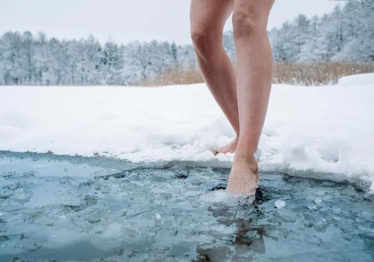 寒冷 桌布 壁紙 — 赤腳踏入雪白冬季邊緣的冰冷水中，背景是積雪的樹木。