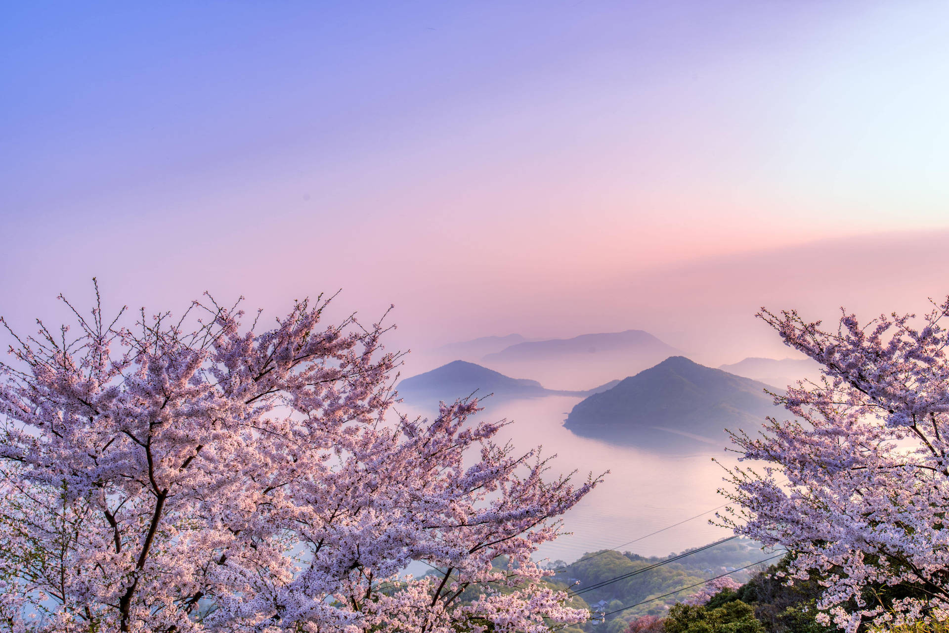 櫻花框住霧氣瀰漫的湖泊和山脈在日出時。