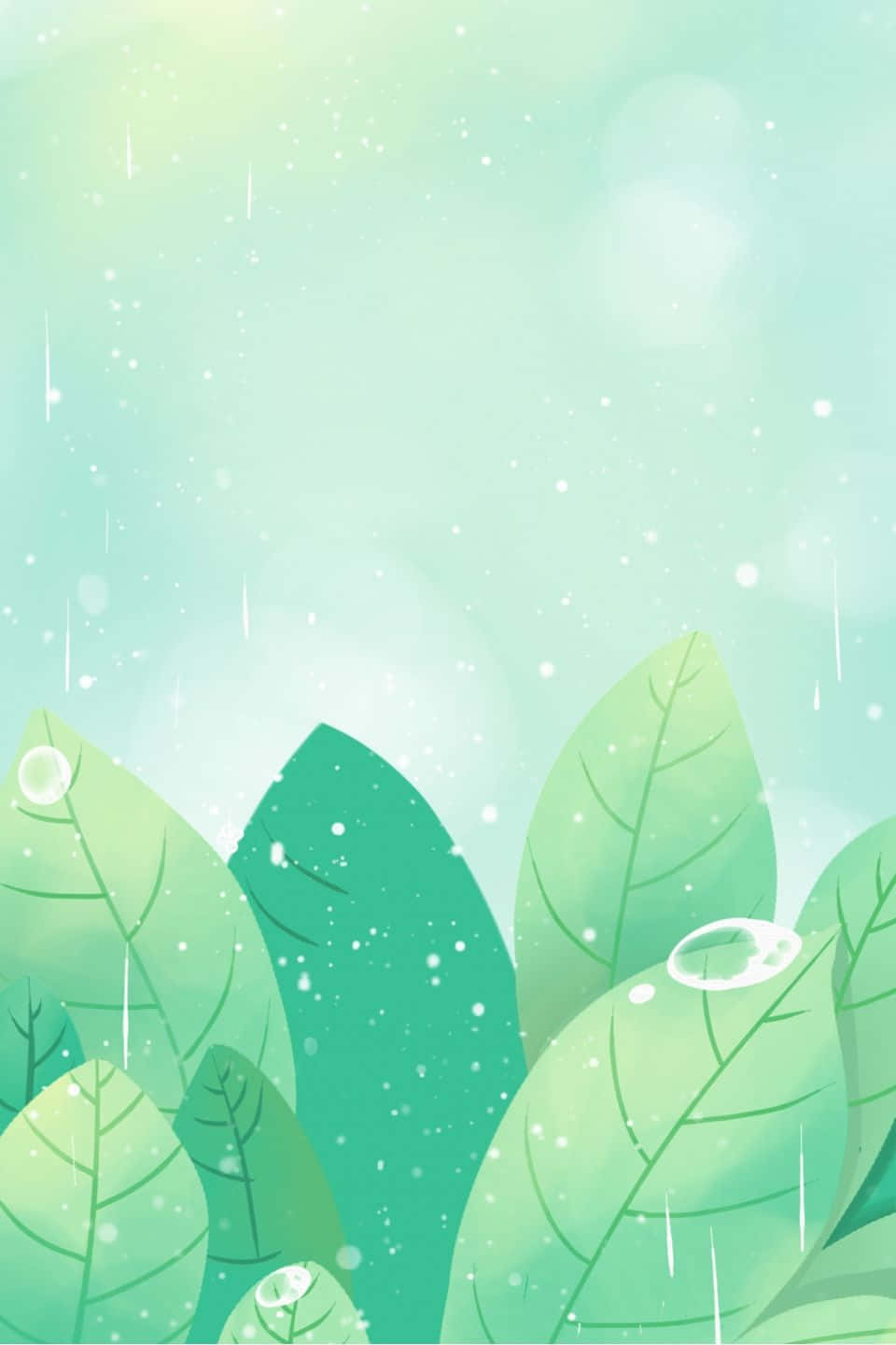 柔和天空下，微雨中帶露珠的綠葉。