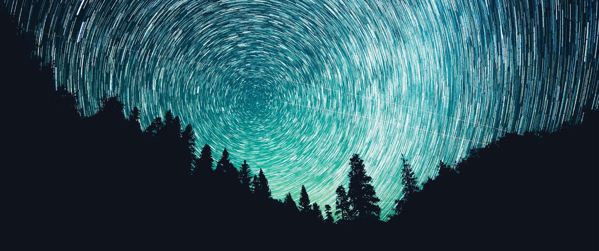 星軌在夜間黑暗森林上空旋轉。