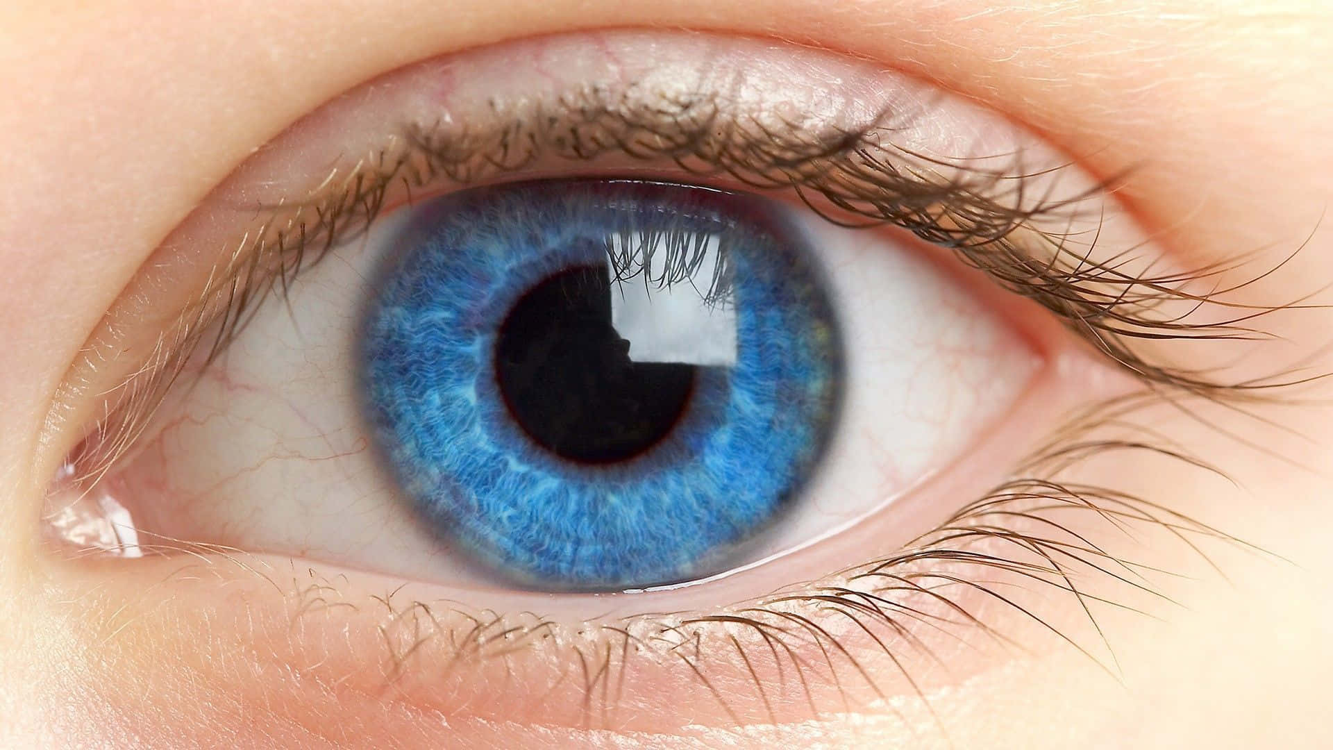 Eyes 桌布 壁紙 — 超現實特寫鏡頭，呈現鮮豔藍色人眼，虹膜紋理細緻，膚色自然。