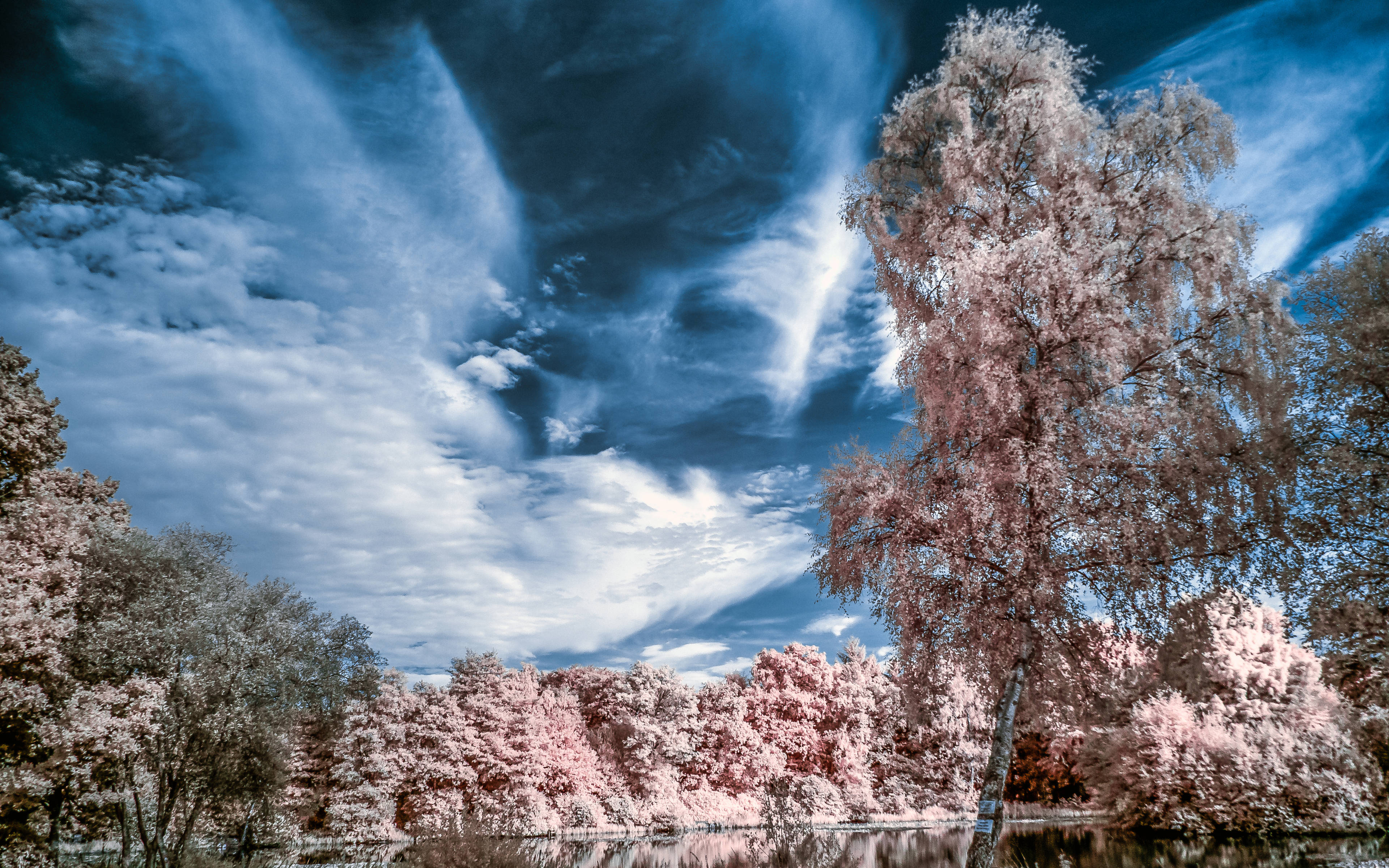 天空景觀 桌布 壁紙 — 超現實的紅外線風景，粉紅色的樹木和深藍色的雲朵倒映在平靜的水面上。