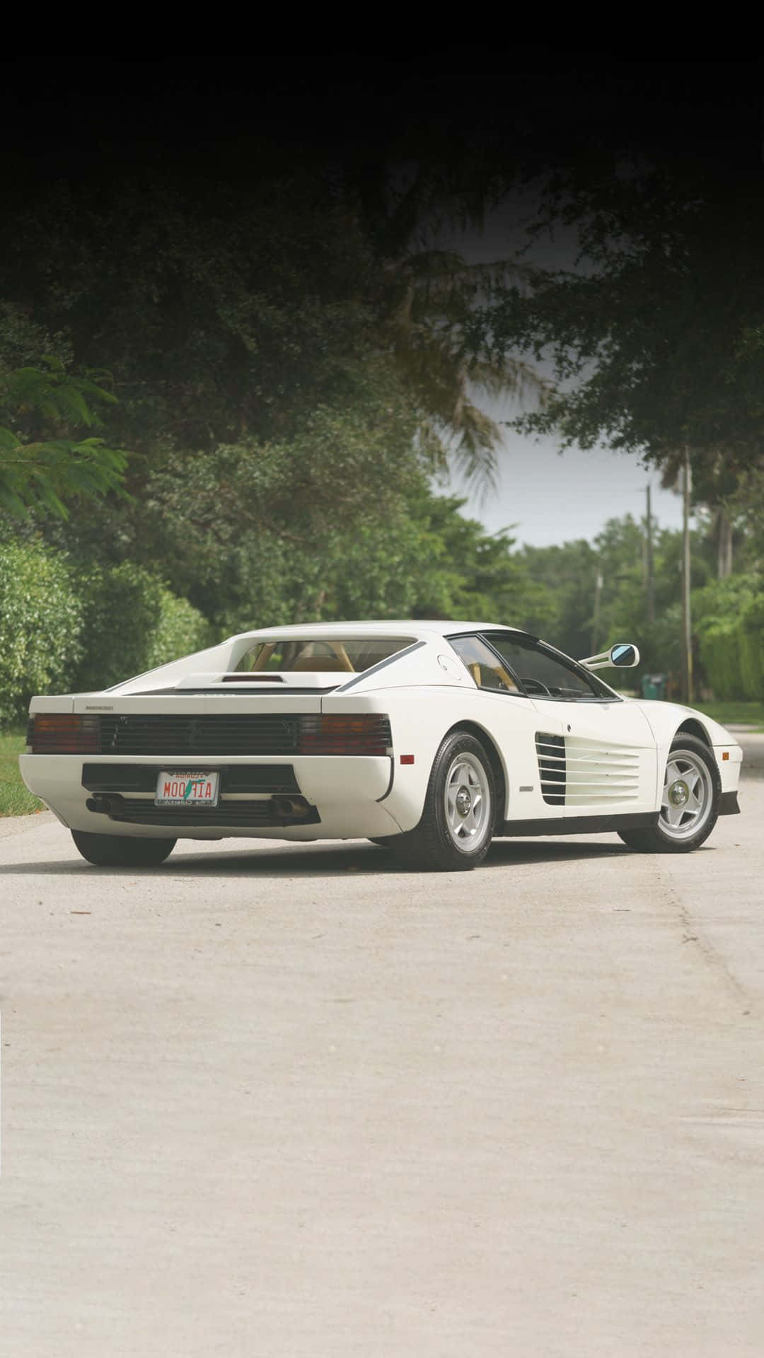 白色法拉利 Testarossa 停泊在混凝土車道上，背景有熱帶樹木。