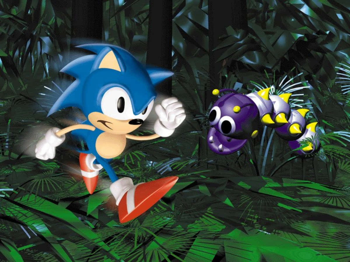 Sonic 3d Blast 桌布 壁紙 — 超音鼠喺茂密嘅綠色叢林中疾馳，避開一條紫色有刺嘅毛蟲敵人。