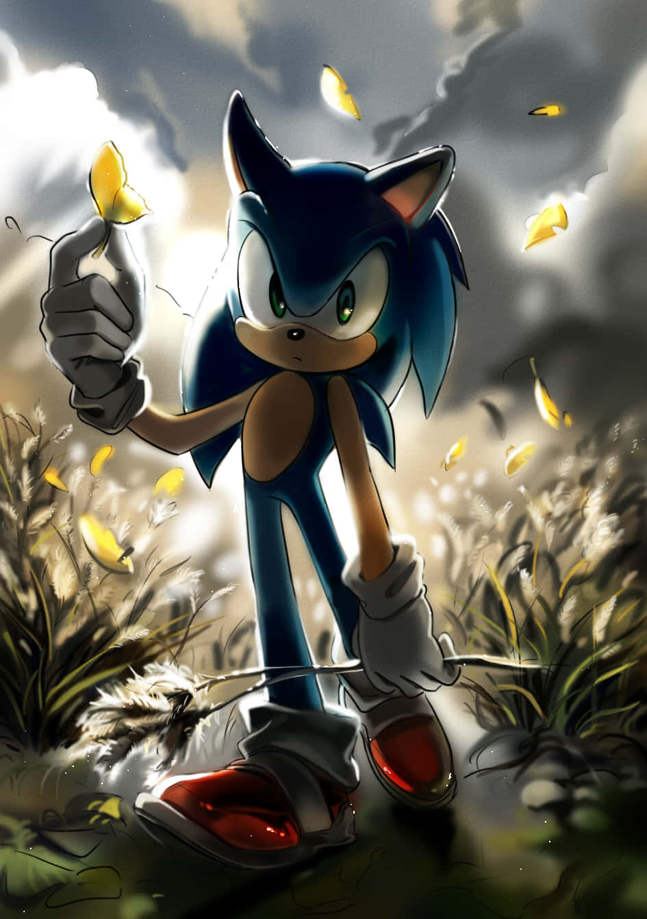 Sonic Fan Art 桌布 壁紙 — 超音鼠站在田野中，手持一隻黃色蝴蝶，身後陽光穿過暴風雲層。