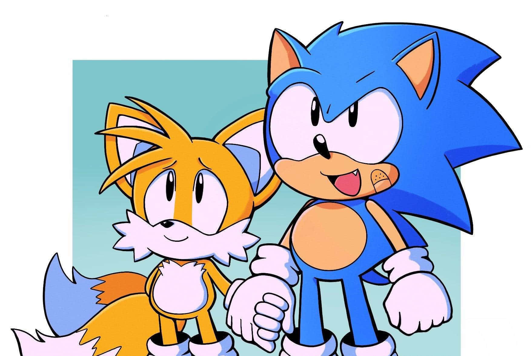 Sonic And Tails 桌布 壁紙 — 超音鼠與塔爾斯並肩微笑，背景為簡單的青綠色。