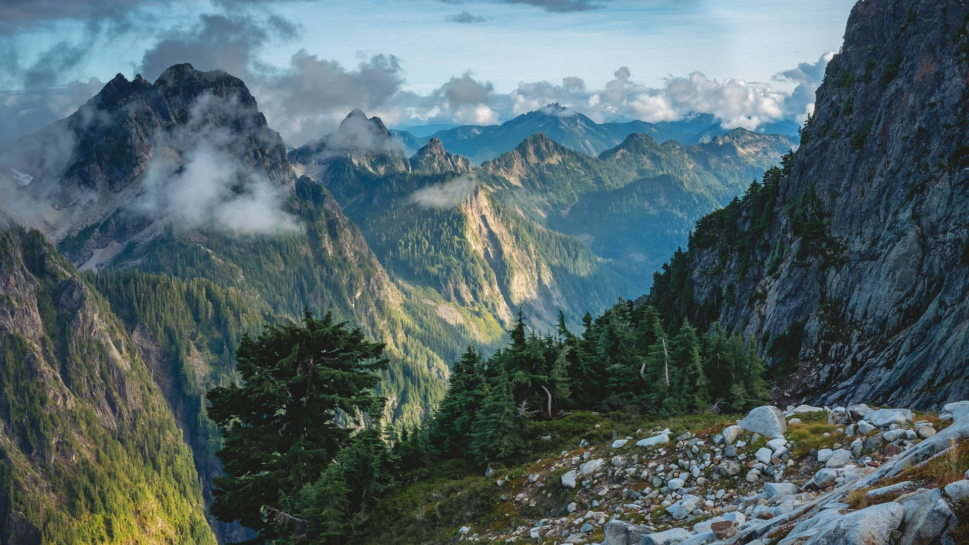陽光照耀的山脈，有常綠樹和山谷中飄移的雲朵。