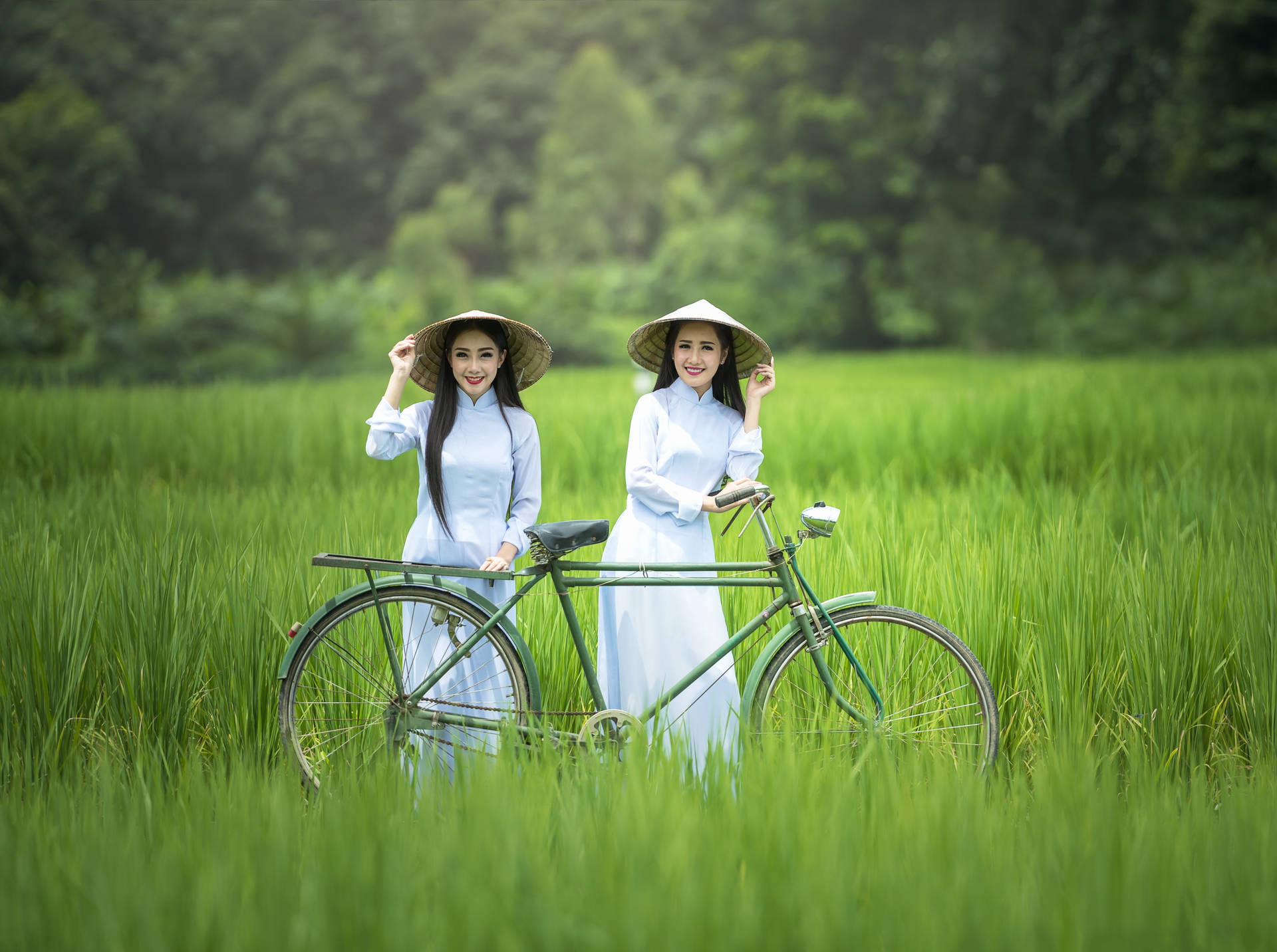 兩位穿著傳統越南服飾的女性在稻田中與自行車一起。