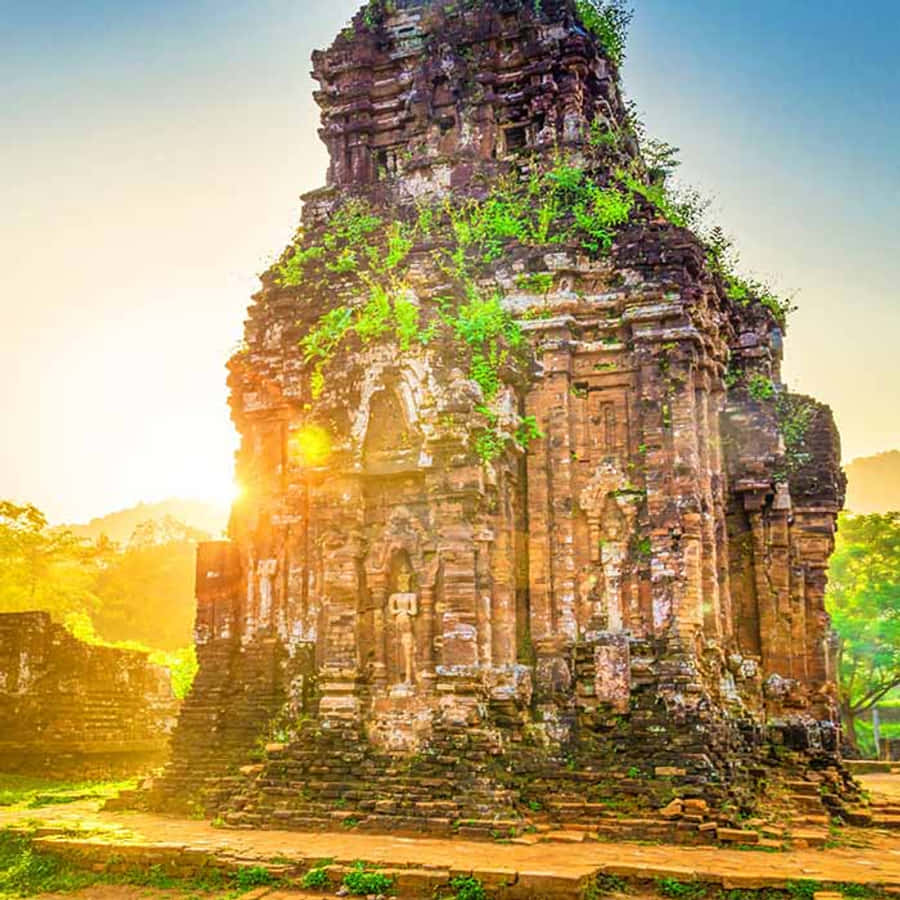 越南歷史My Son聖地的迷人風景 壁紙 — 陽光灑落在一座覆蓋著鮮綠色苔蘚和藤蔓的古老石廟上，映襯著晴朗的天空。